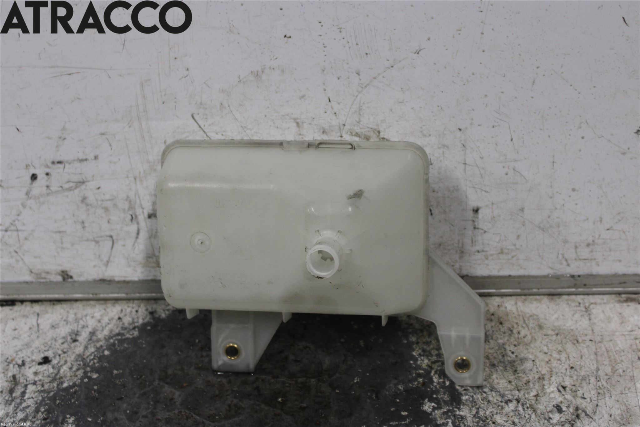 Nissan LEAF 11-17 Expansionstank