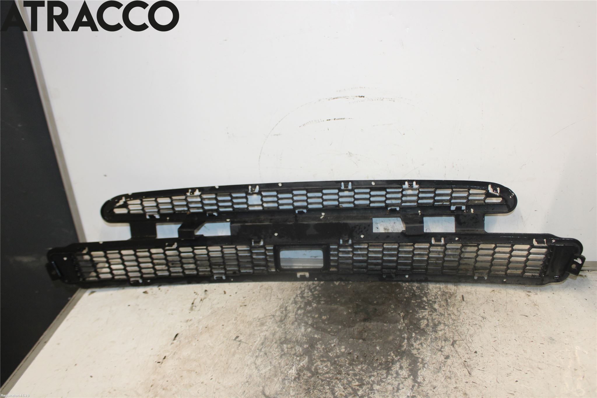 Tesla MODEL S 13- Grill-Galler
