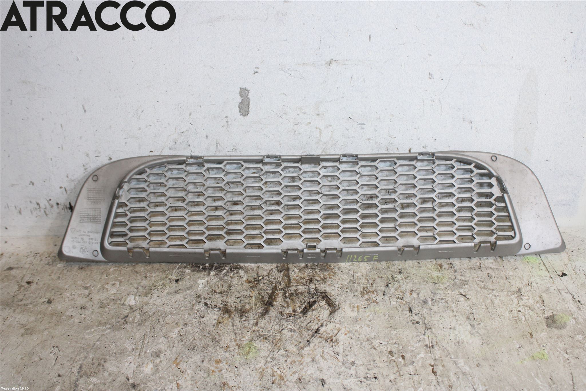 BMW X3 E83     03-10 Grill-Galler