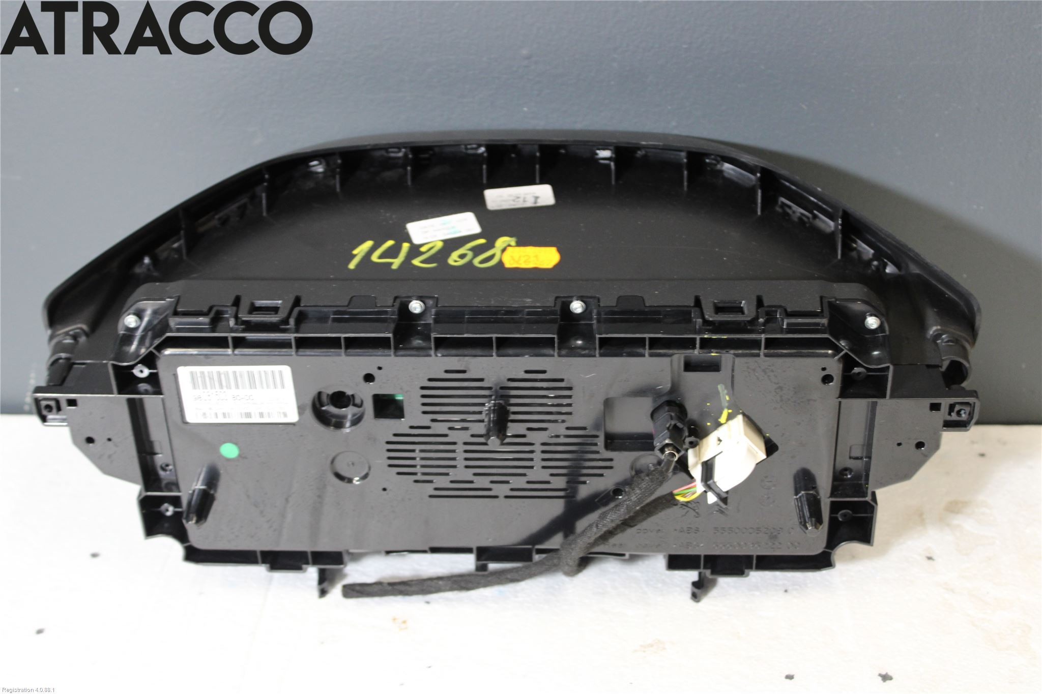 Peugeot 3008 17-24 Instrument Hast