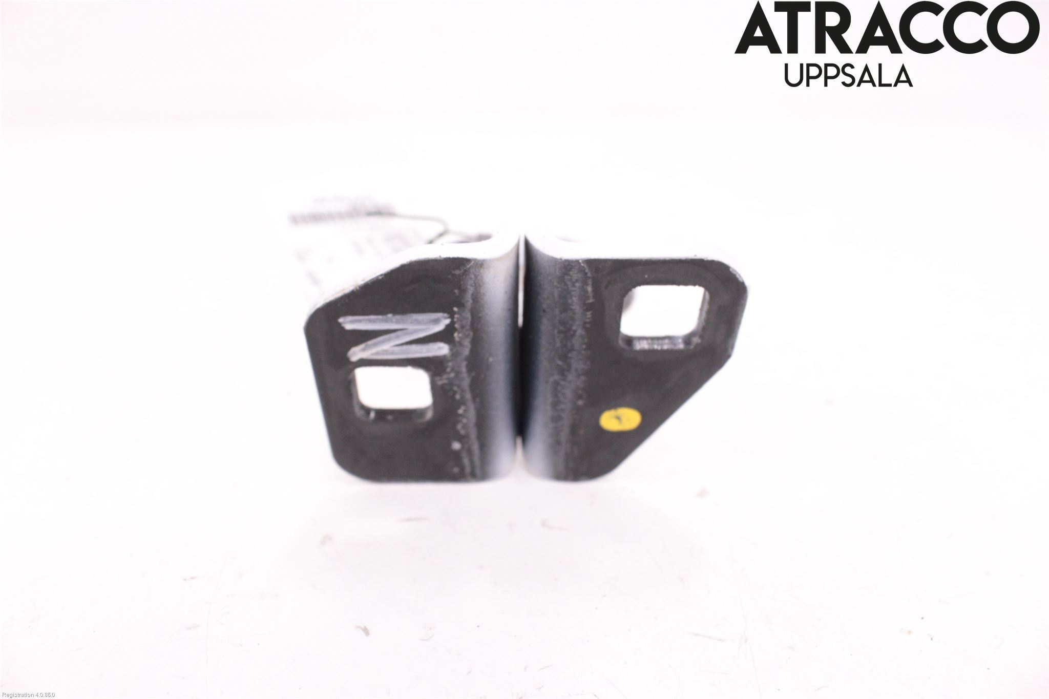 Tesla MODEL S 13- Dörrgångjärn