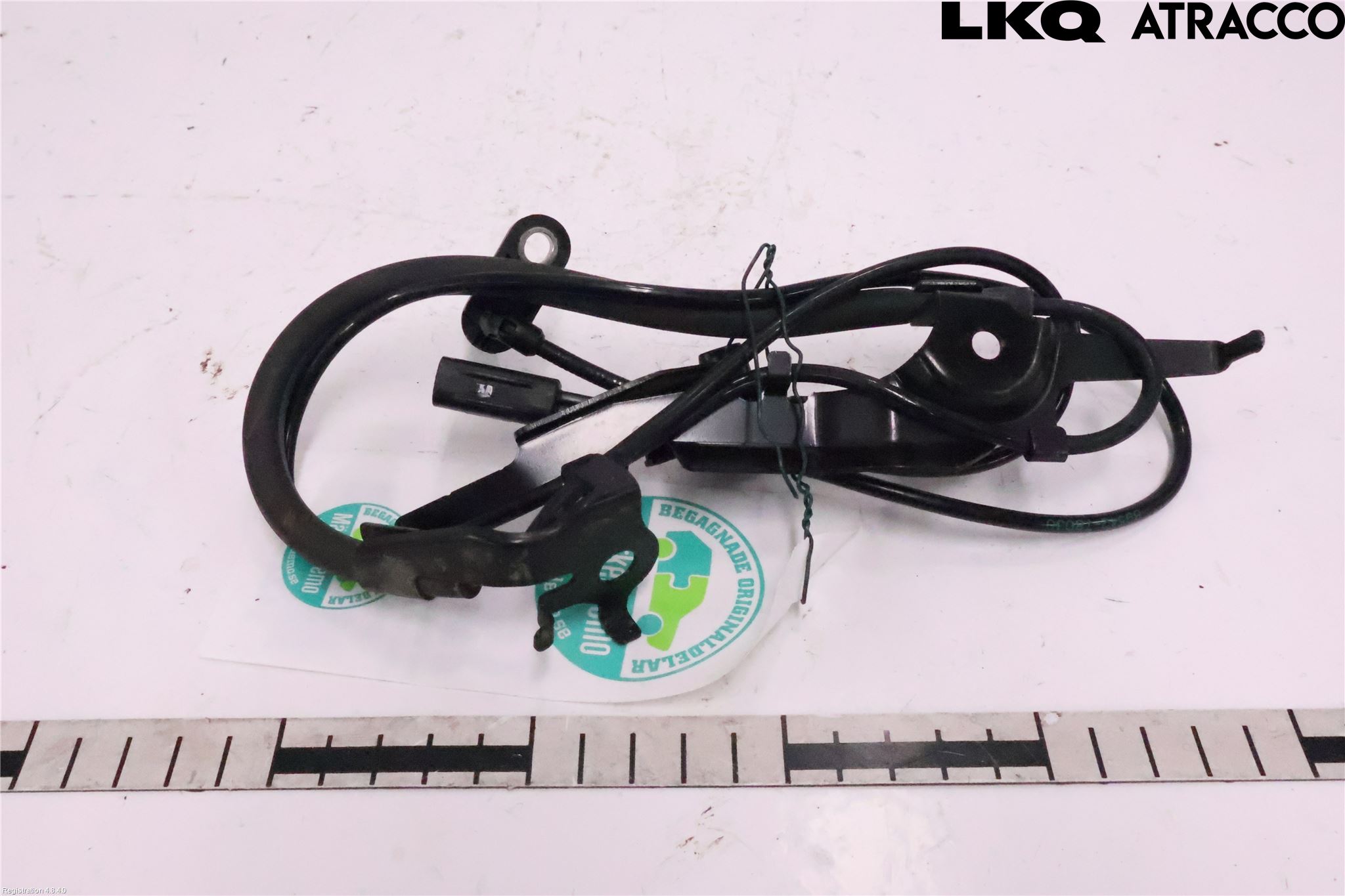 Lexus NX 340h/450h+ 21- Abs Sensor