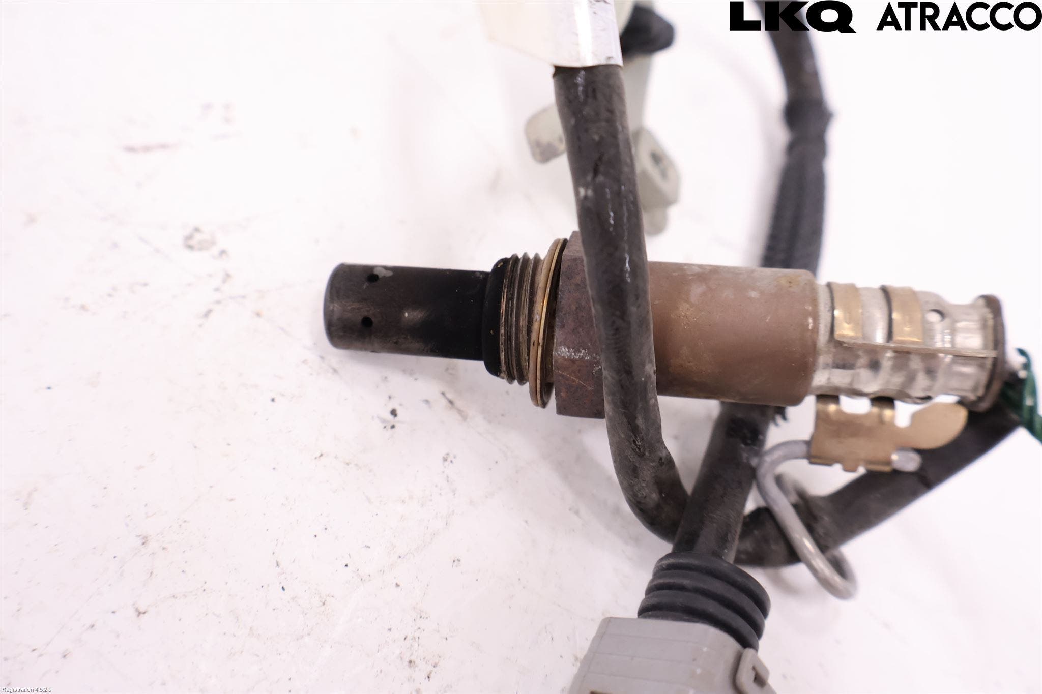 Toyota C-HR 16-23 Injlambdasond