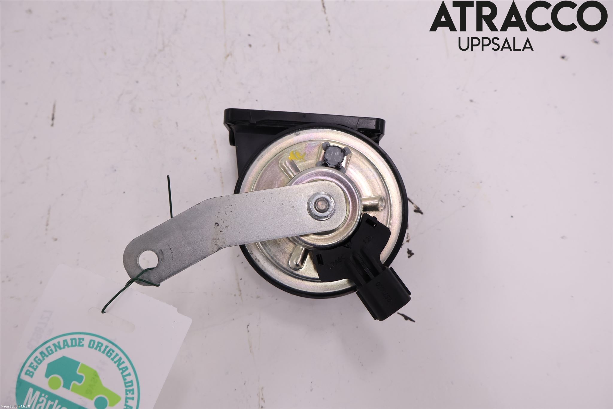 BYD ATTO 22- Signalhorn