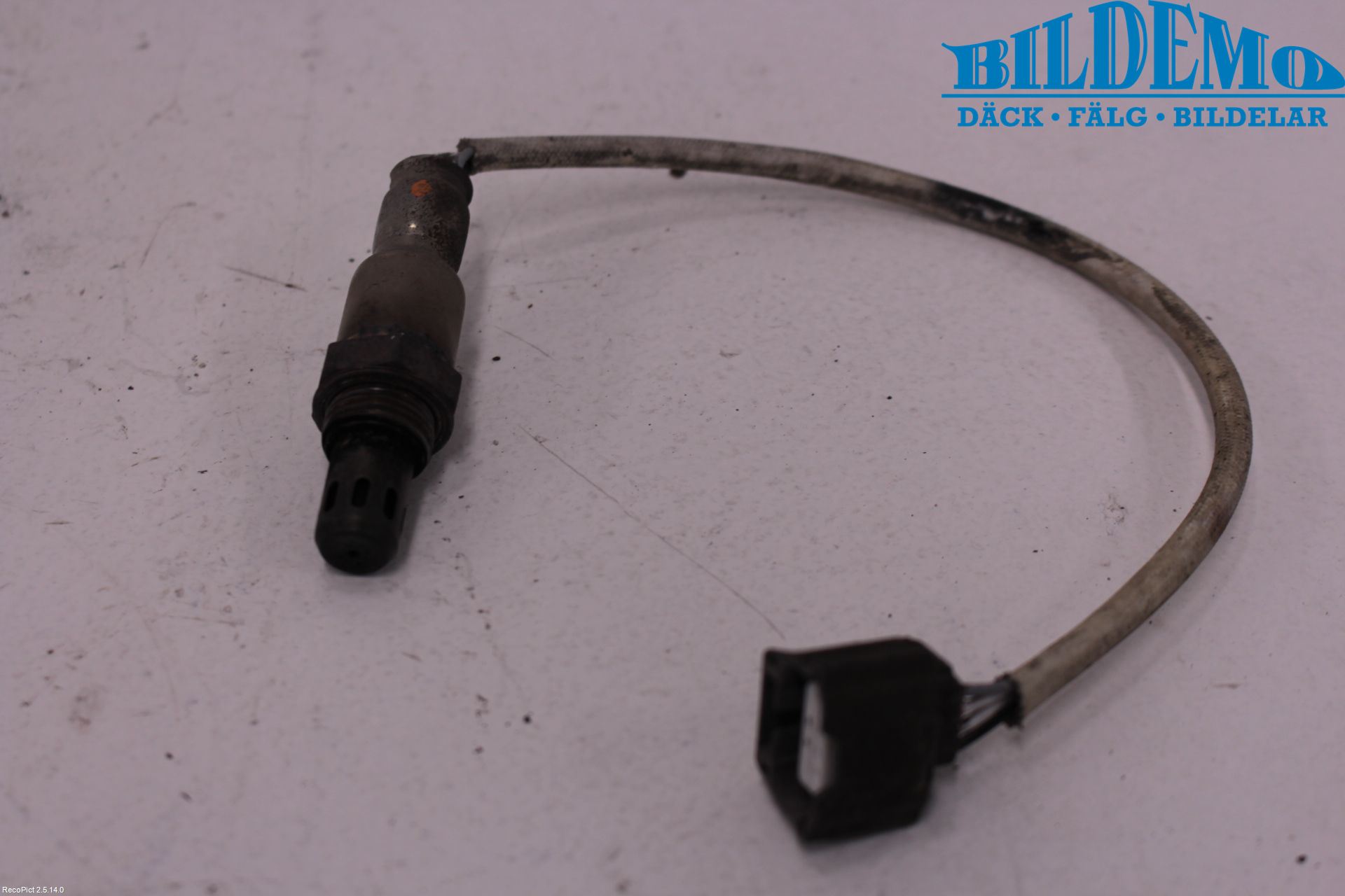 Nissan JUKE 10-14 Injlambdasond