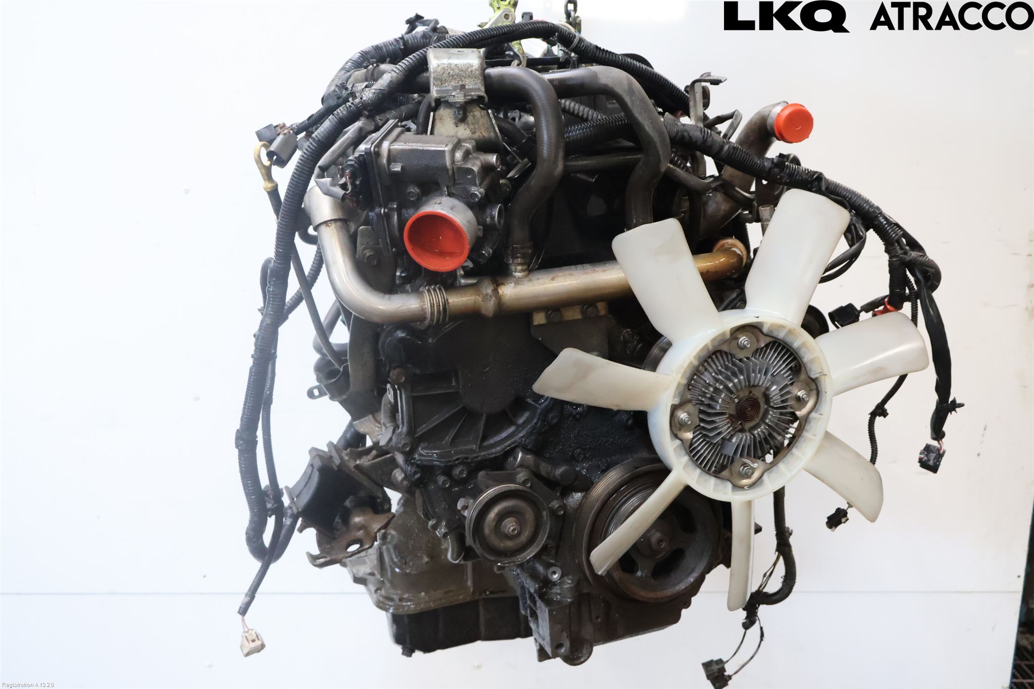 Nissan NAVARA 05-16 Motor Diesel