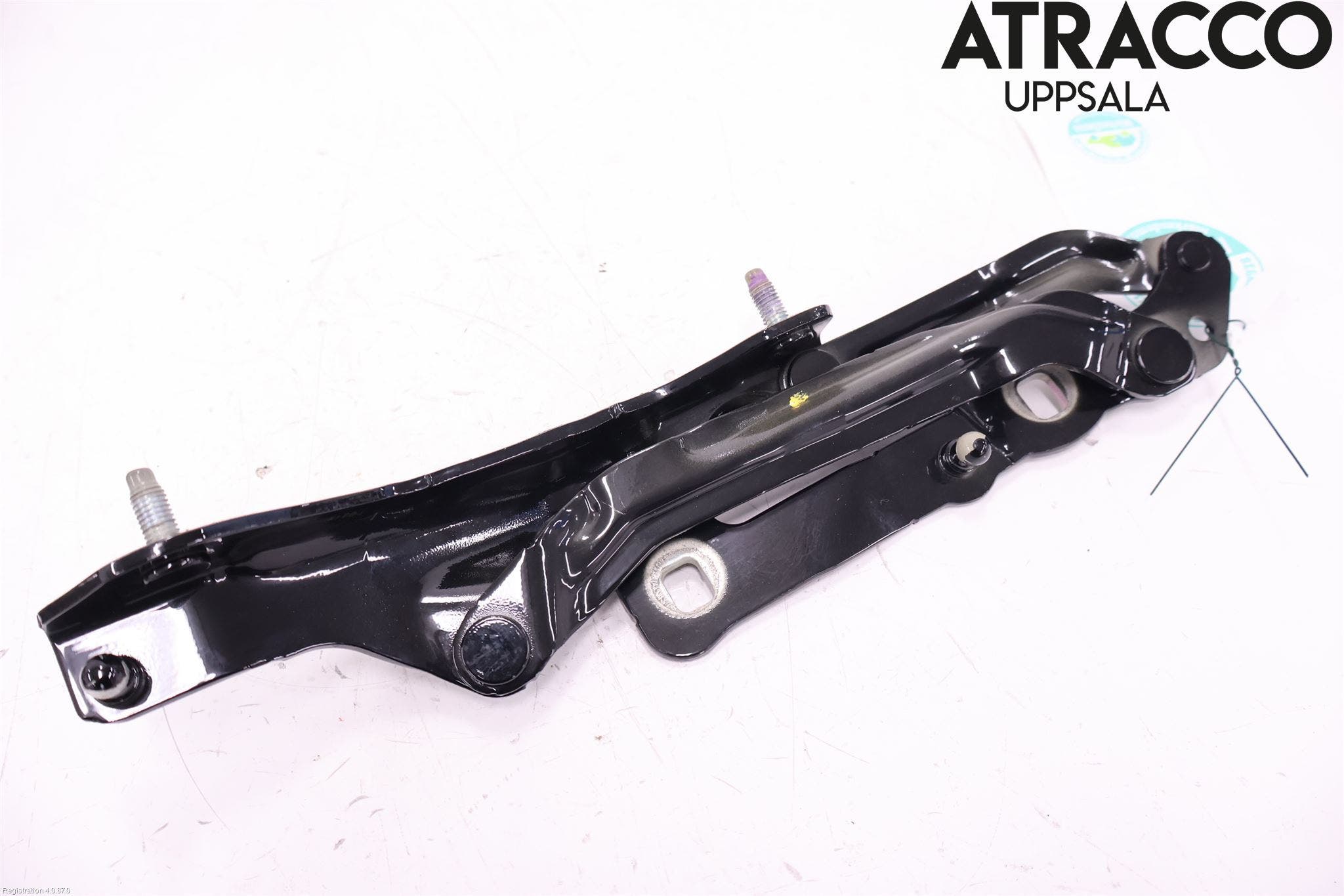 Tesla MODEL 3 17- Bakluckegångjärn Hö