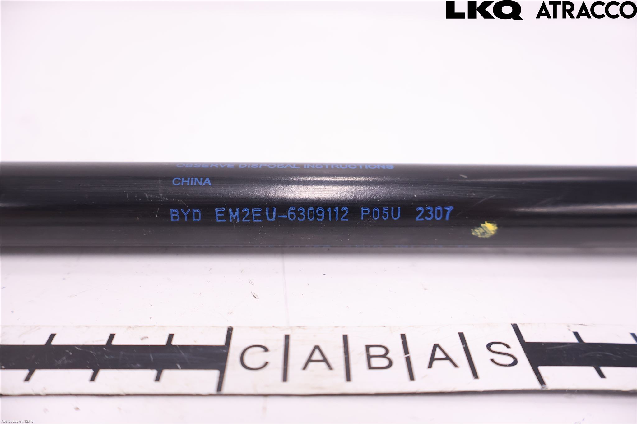 BYD DOLPHIN 21- Gasfjäder Baklucka
