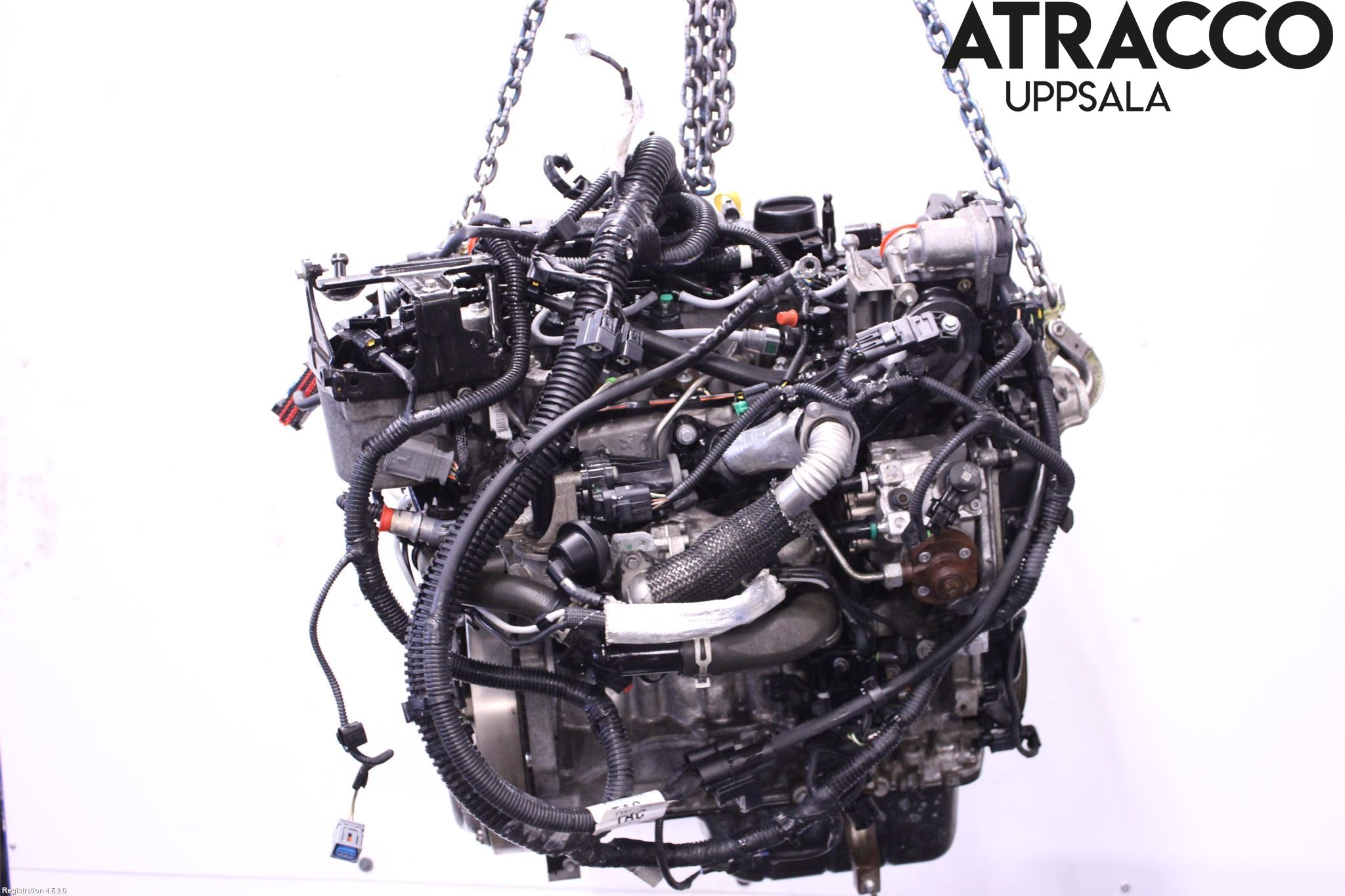 Ford FOCUS 11-14 Motor Diesel