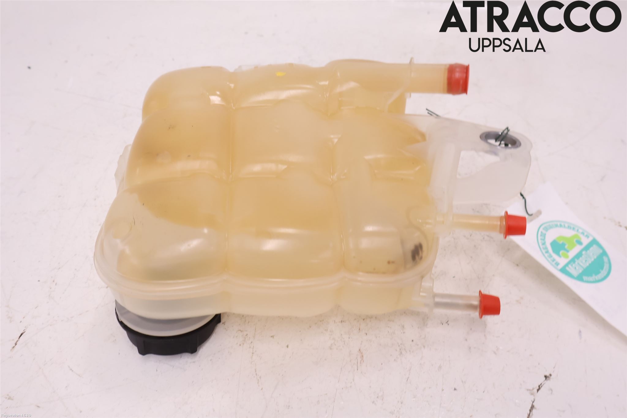 Ford FOCUS 19- Expansionstank