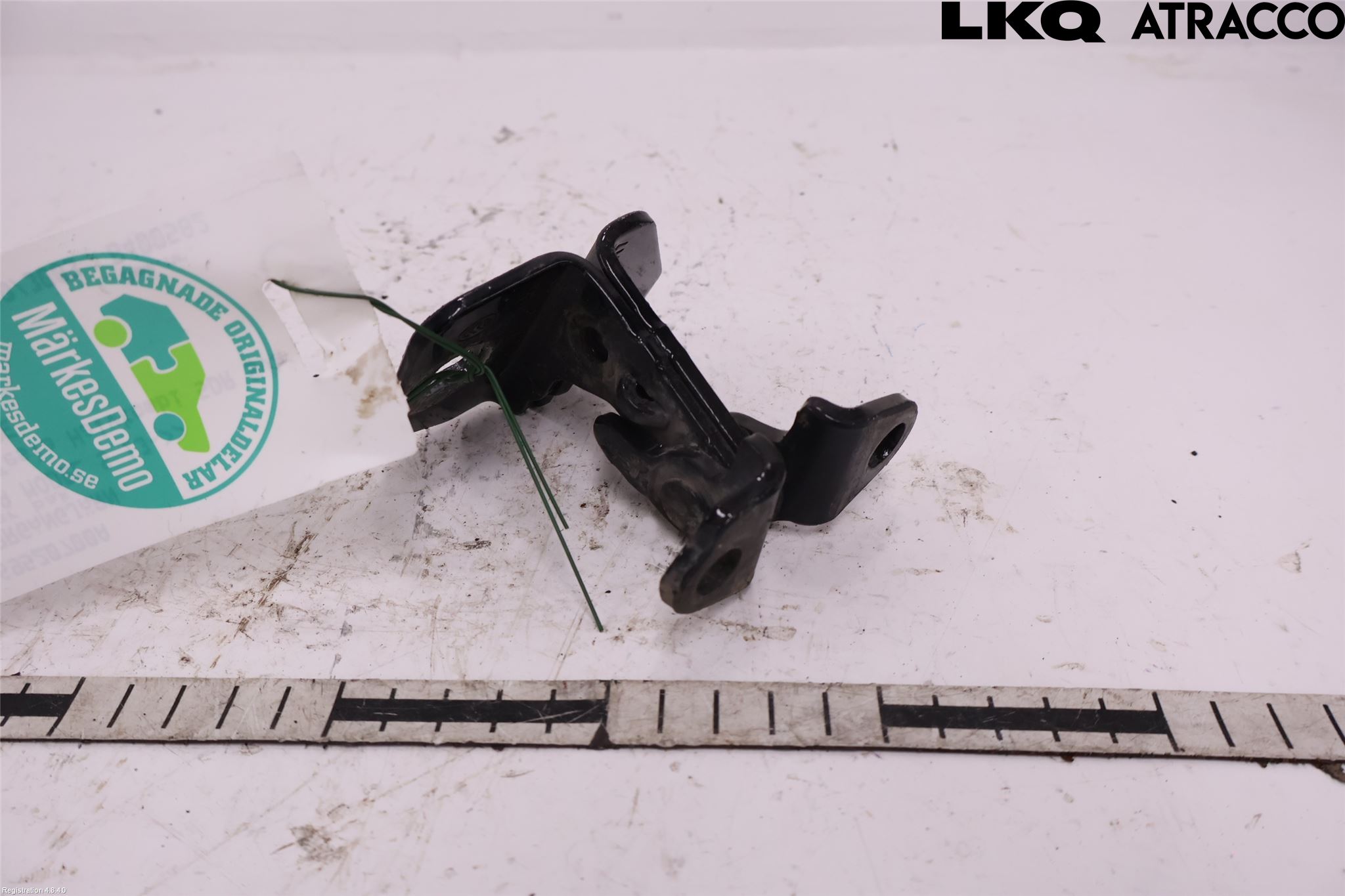 Tesla MODEL S 13- Dörrgångjärn