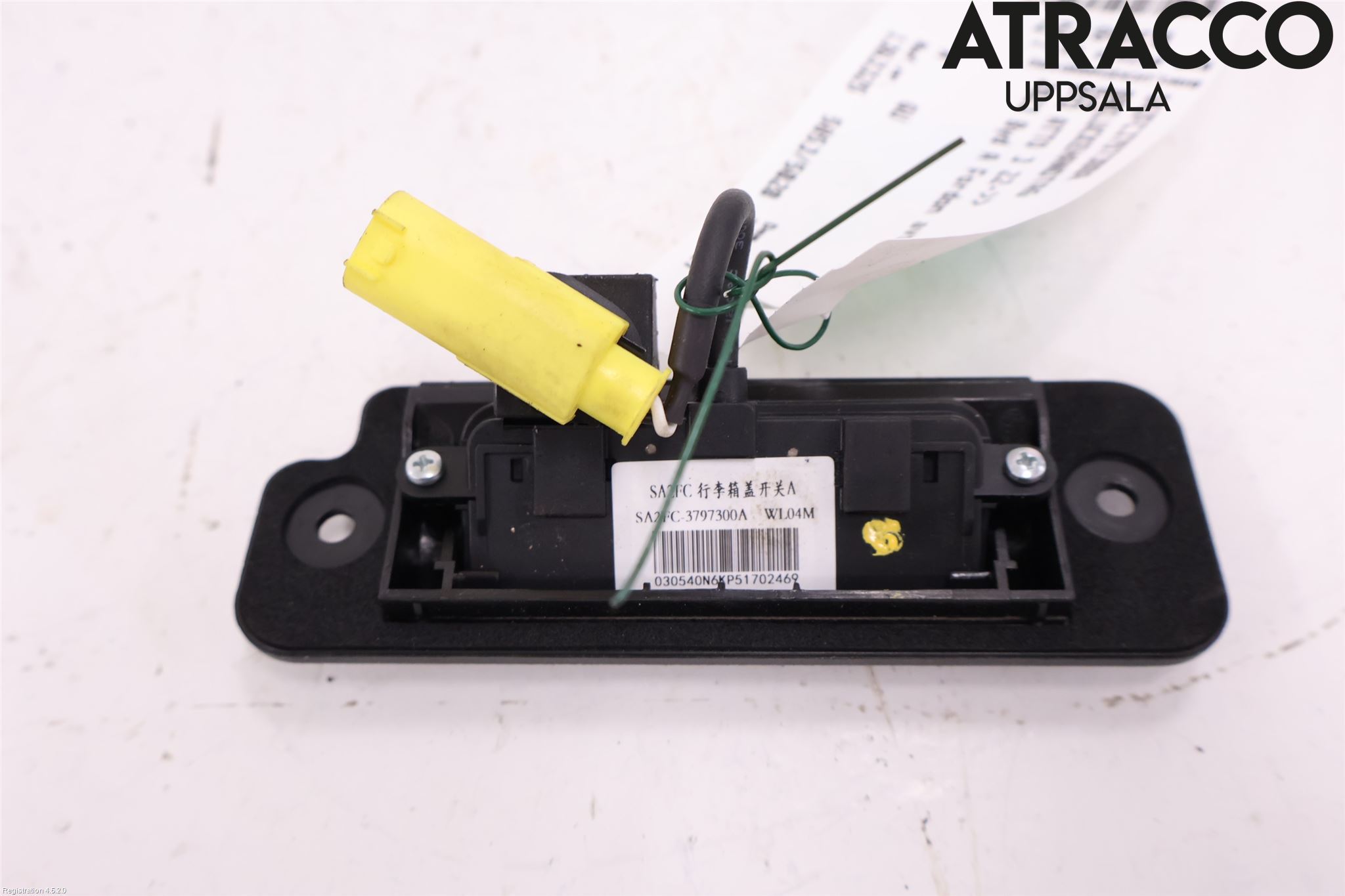 BYD ATTO 22- Bakluckehandtag