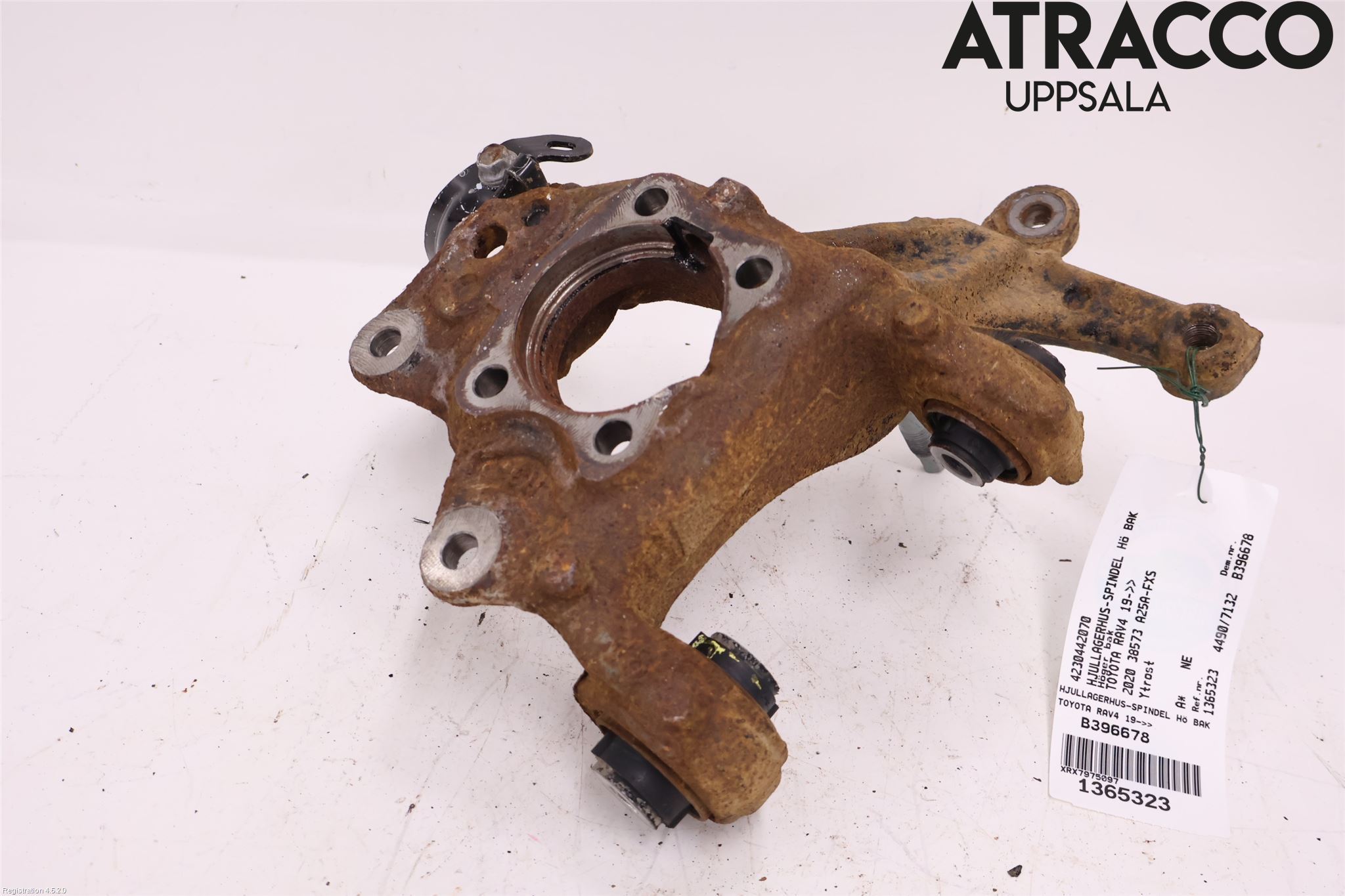 Toyota RAV4 19- Hjullagerhus-Spindel Hö B