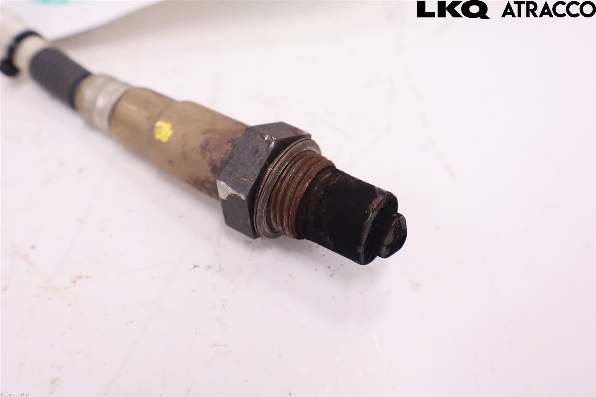 Renault MASTER III  10-14 Injlambdasond