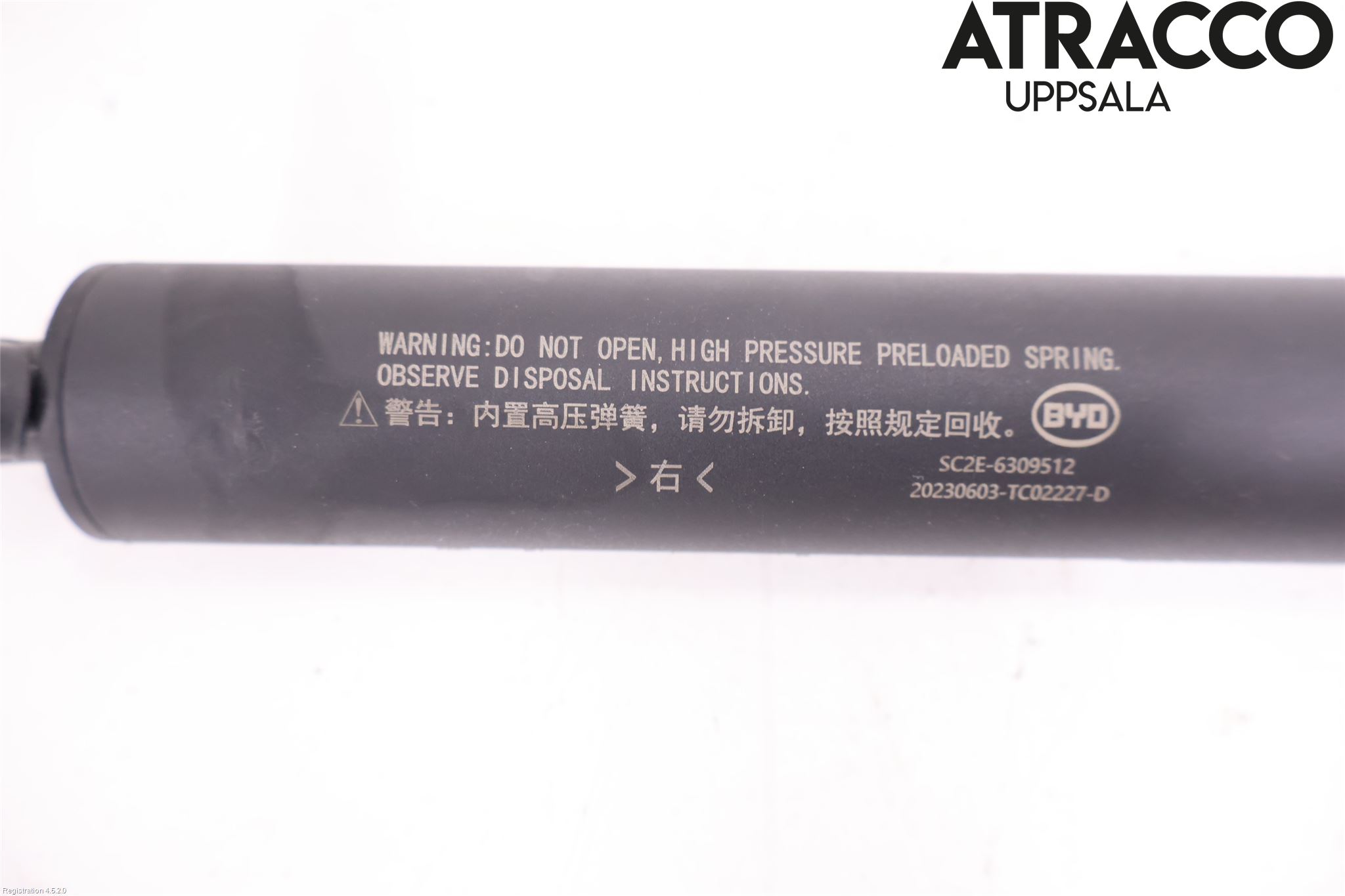 BYD ATTO 22- Gasfjäder Baklucka