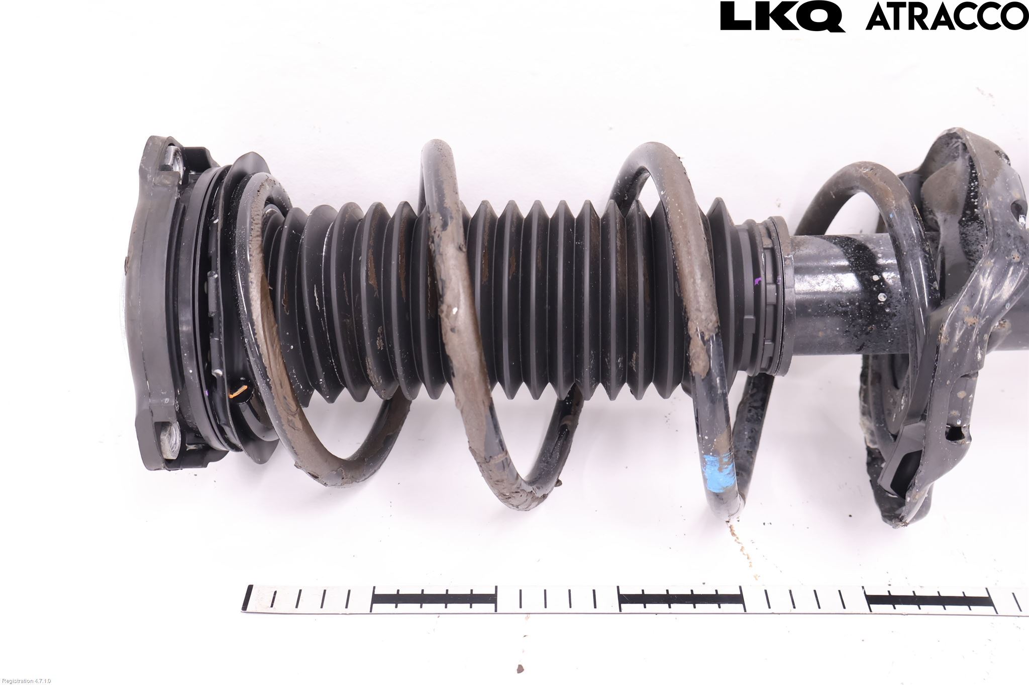 MG 4 23- Fjäderben Fram Vänster