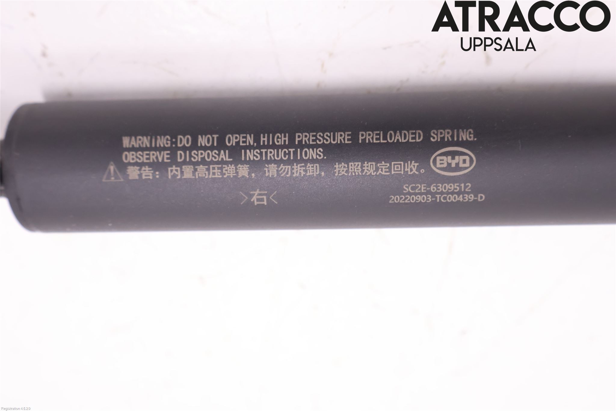 BYD ATTO 22- Gasfjäder Baklucka