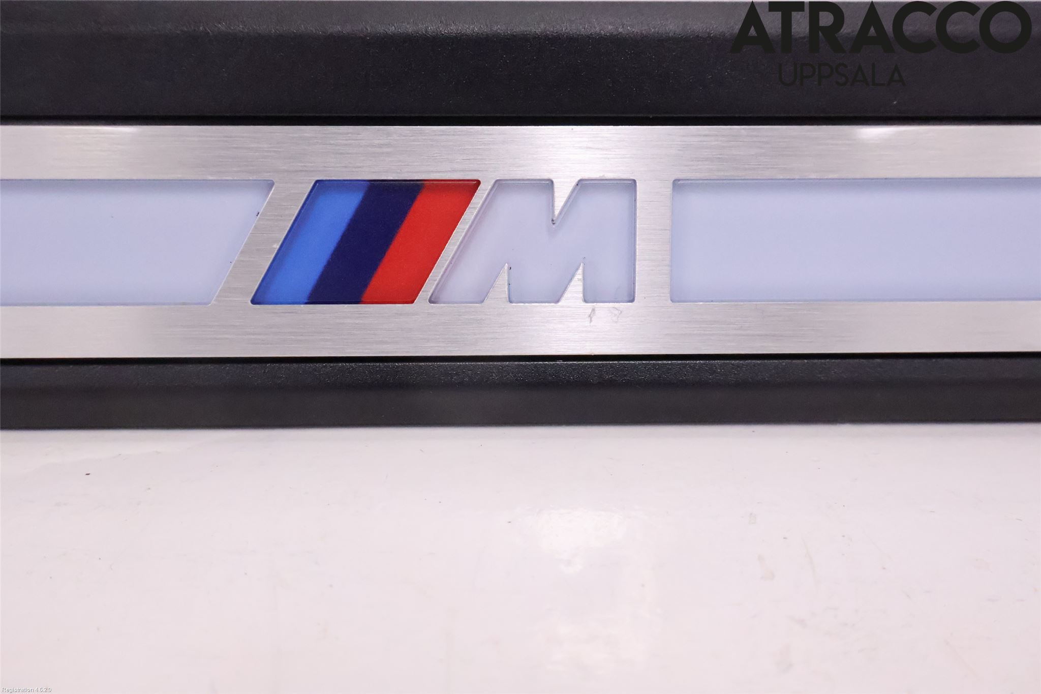 BMW iX3 G08 21- Inr Tröskel-Insteg