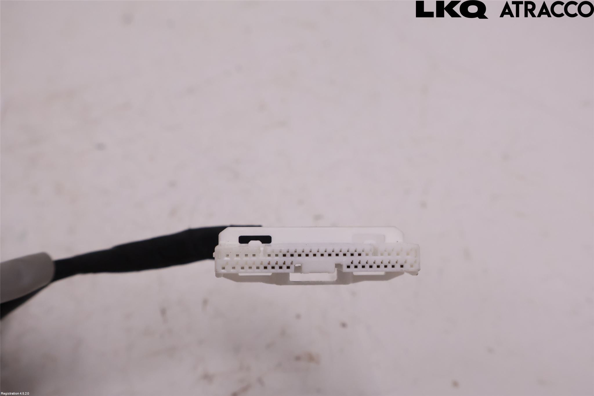 Toyota COROLLA 19- Spakcentral