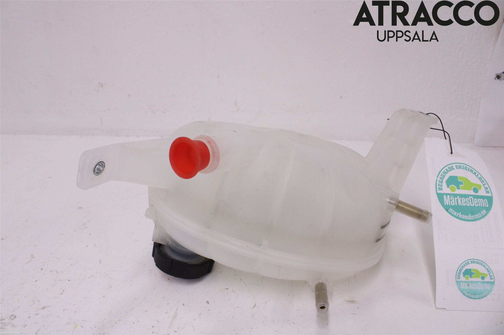 Hyundai IONIQ AE 17-22 Expansionstank