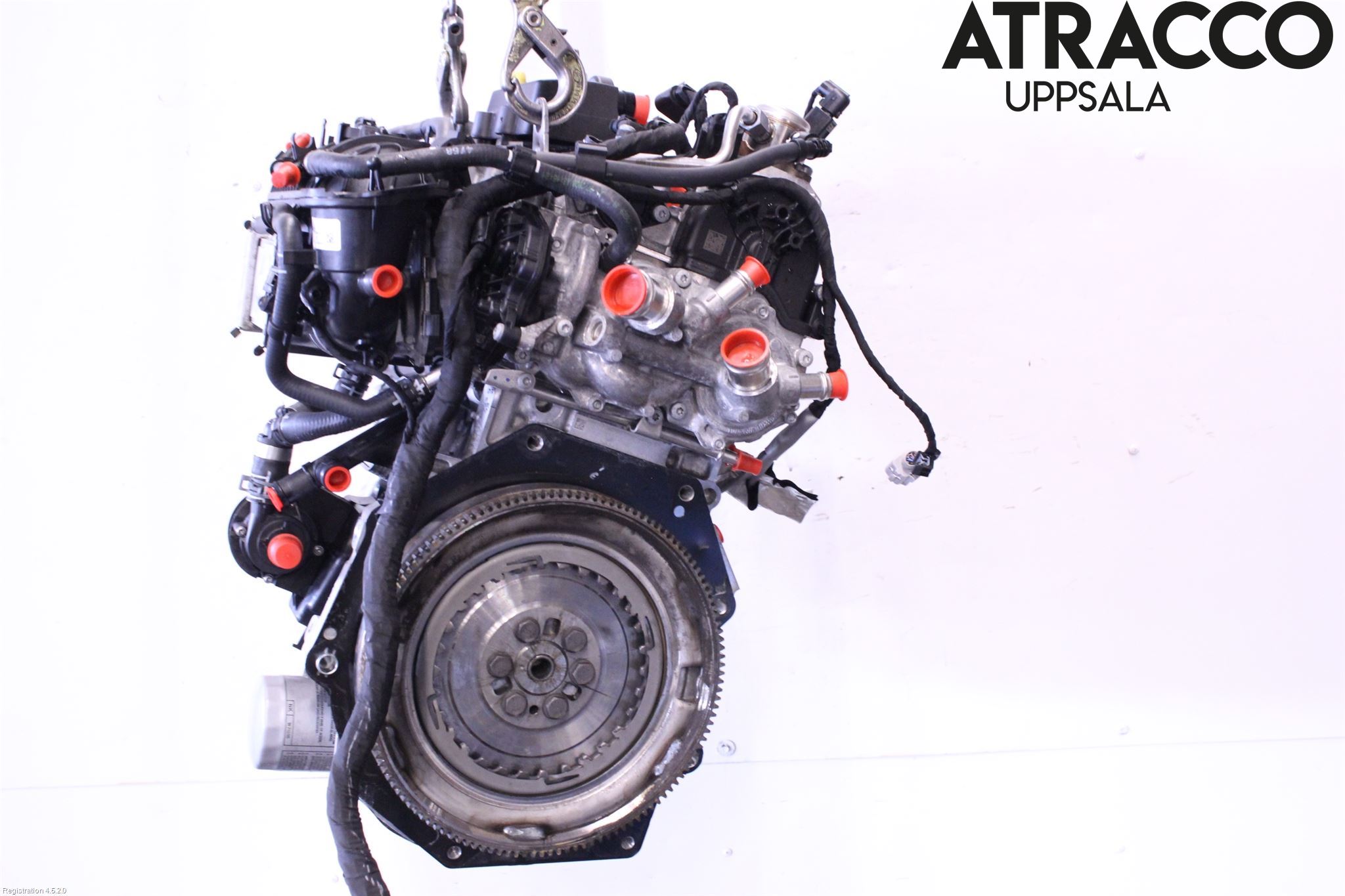 Volkswagen VW GOLF / E-GOLF VIII 20- Motor Bensin