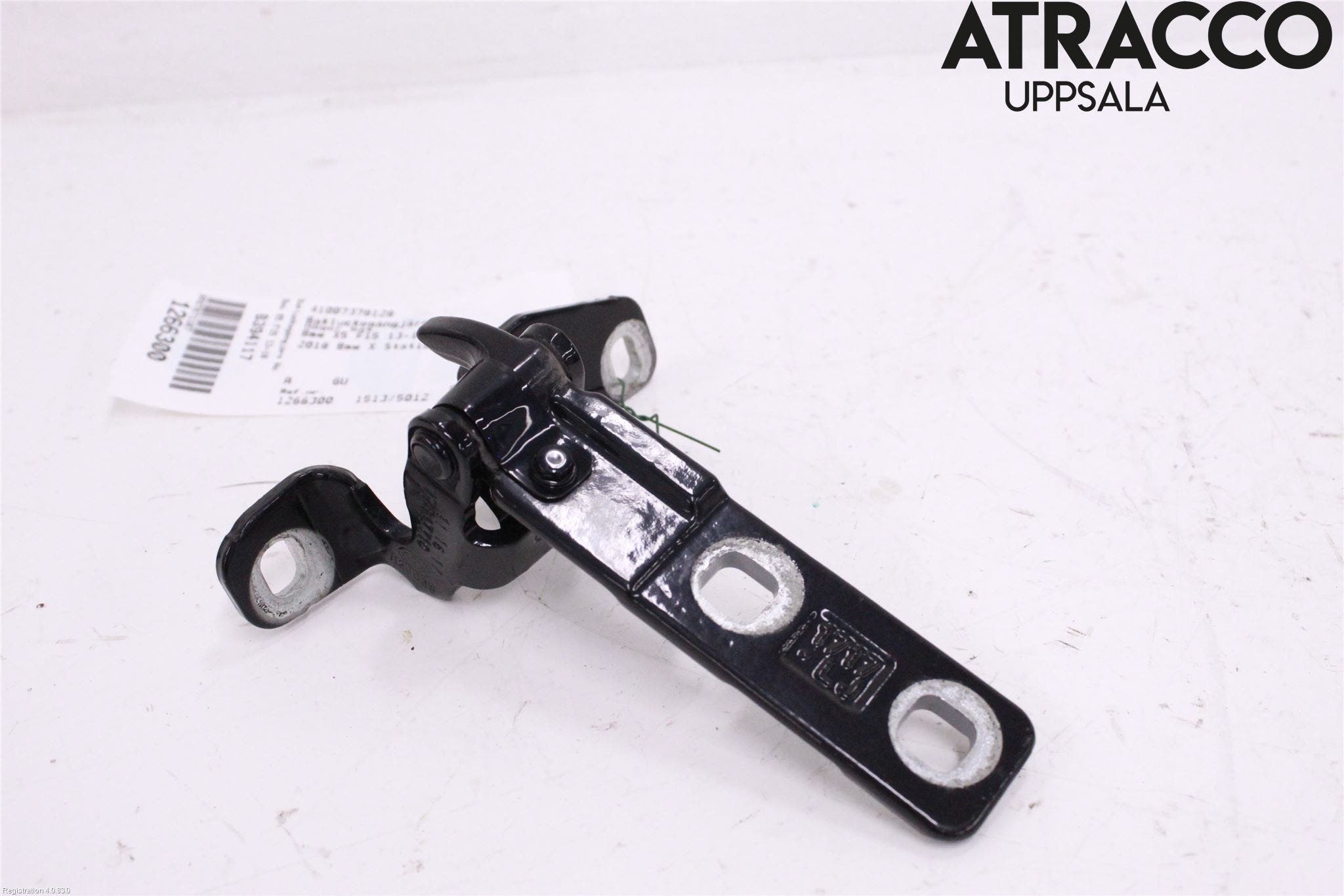 BMW X5 F15 13-18 Bakluckegångjärn Hö