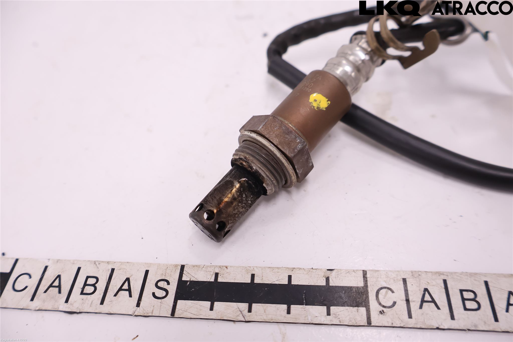 Toyota C-HR 24- Injlambdasond