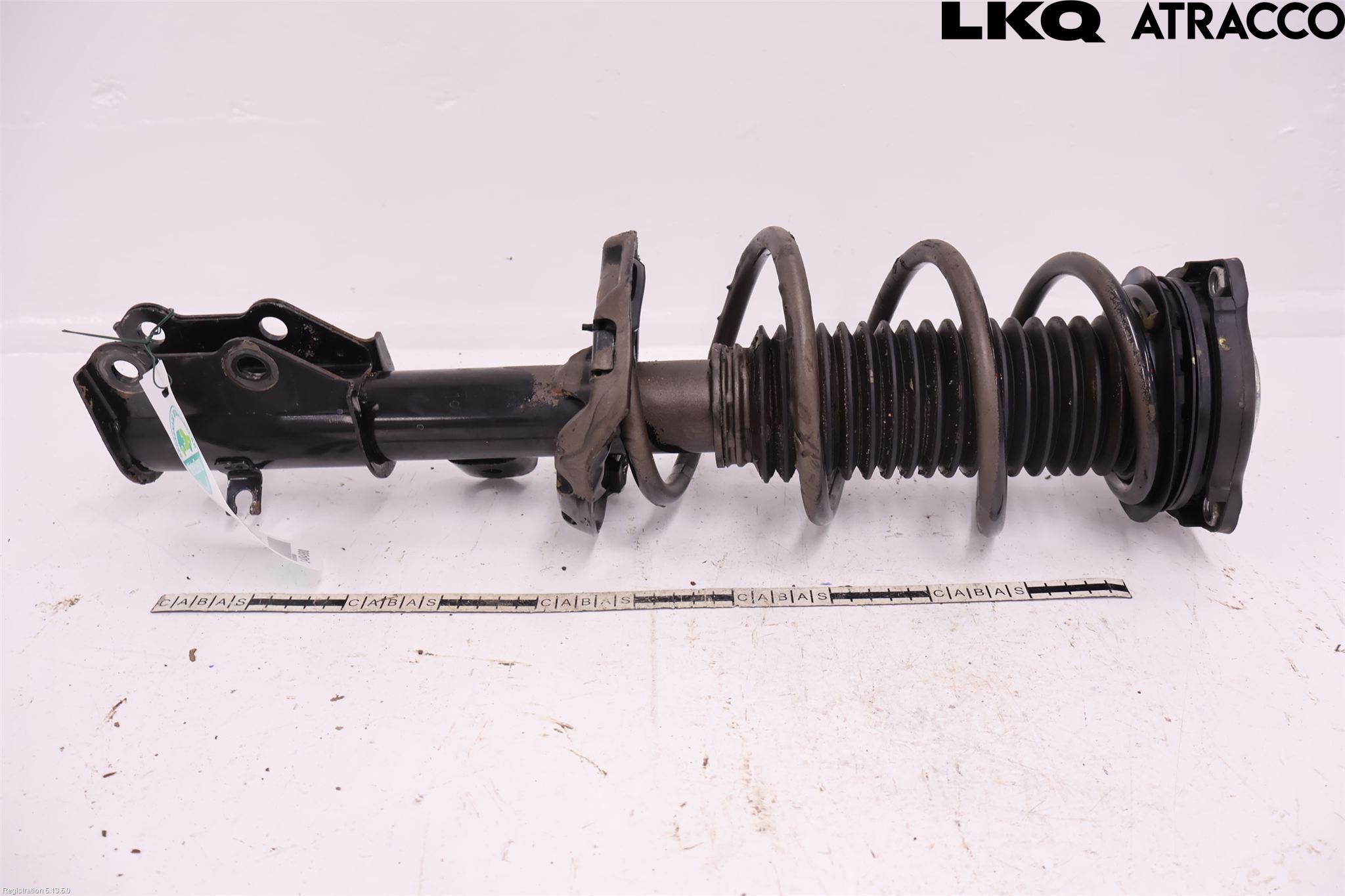 MG 4 23- Fjäderben Fram Höger