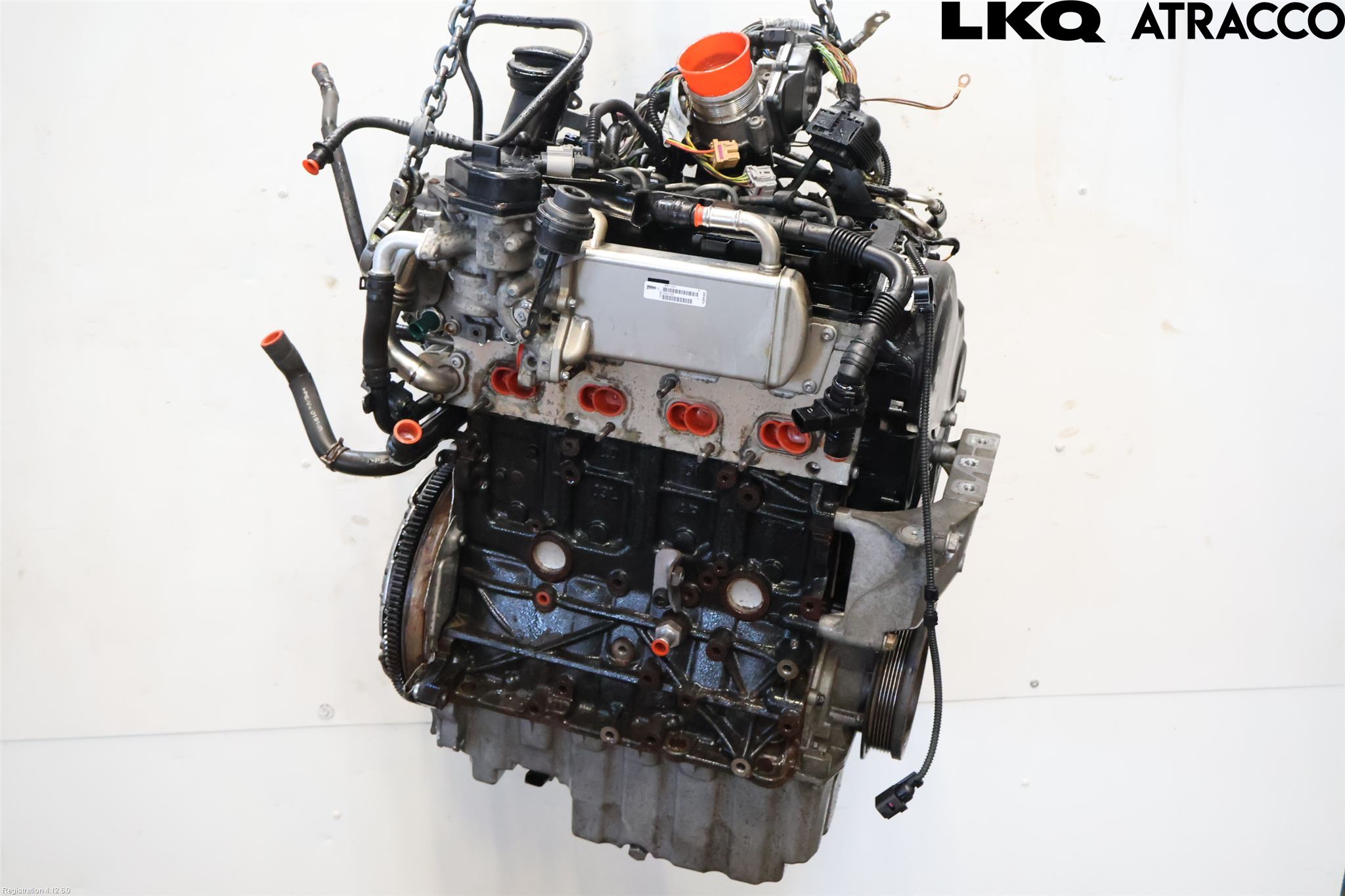 Volkswagen VW TRANSP/CARAVELLE (T6) 16-22 Motor Diesel