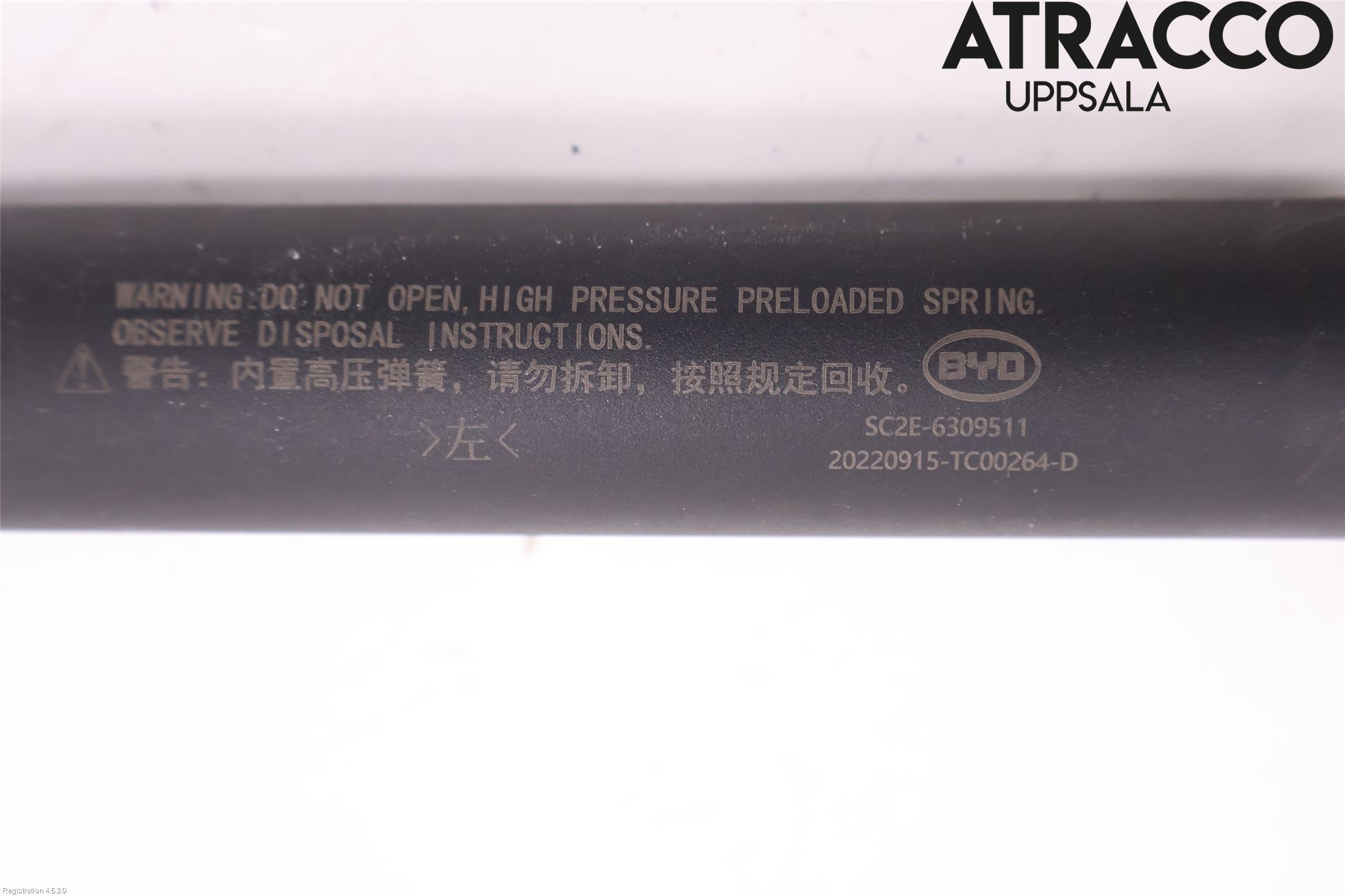 BYD ATTO 22- Gasfjäder Baklucka