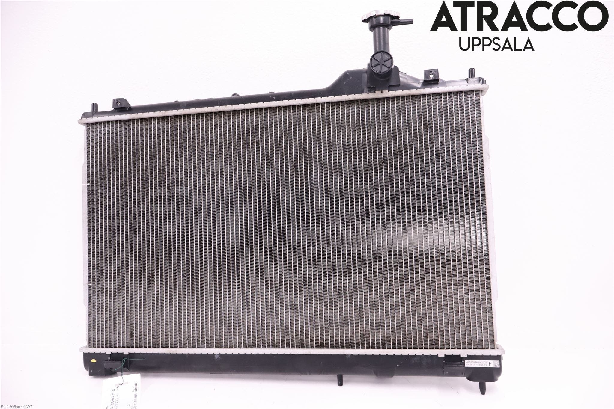 Mitsubishi OUTLANDER 13-21 Kylare Man