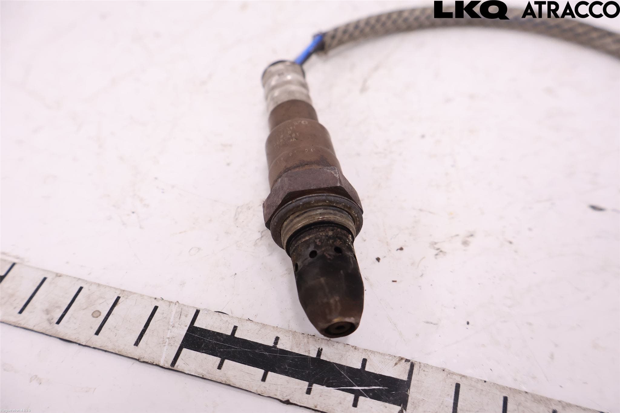 Volvo V40 CROSS COUNTRY 13-19 Injlambdasond