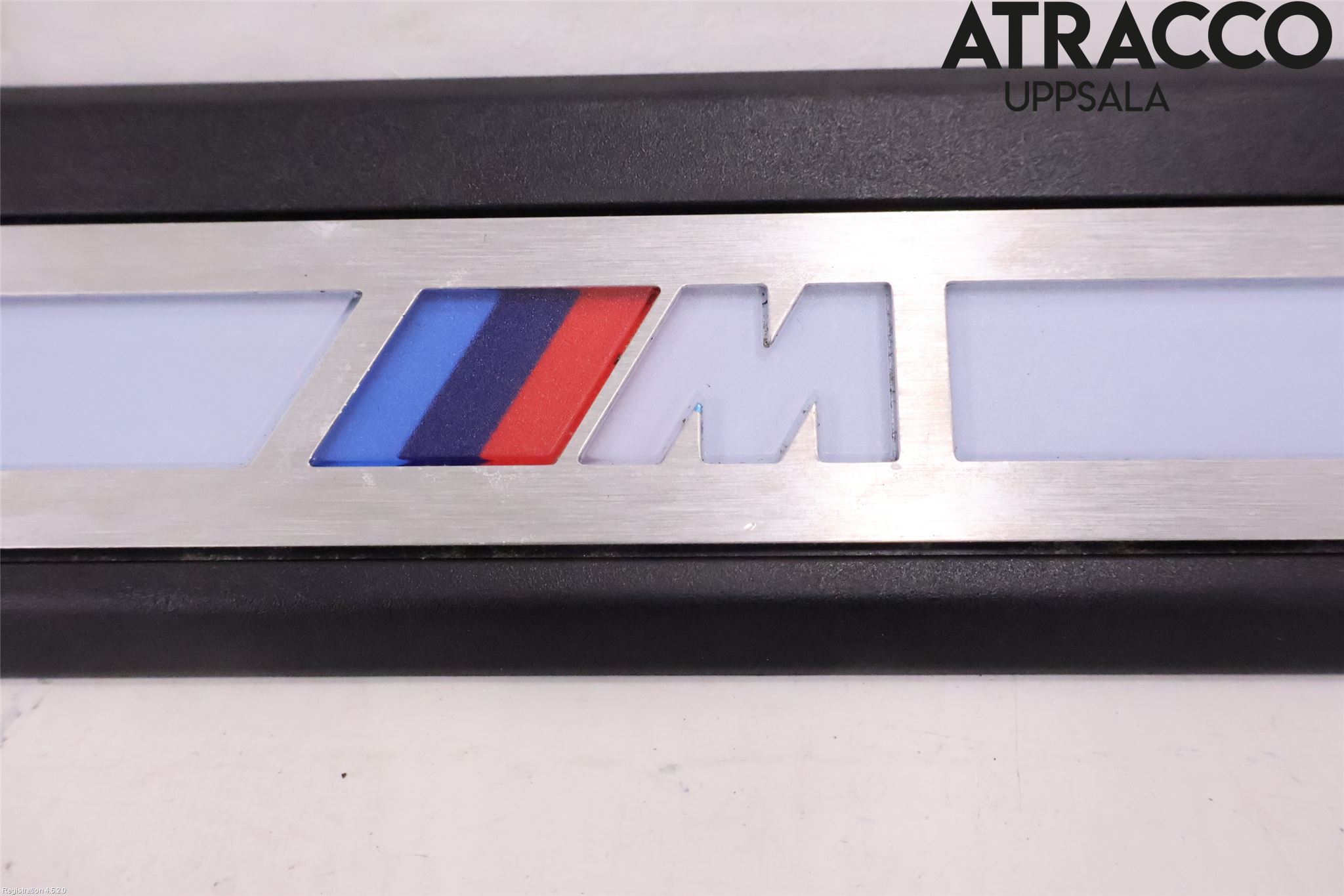 BMW iX3 G08 21- Inr Tröskel-Insteg