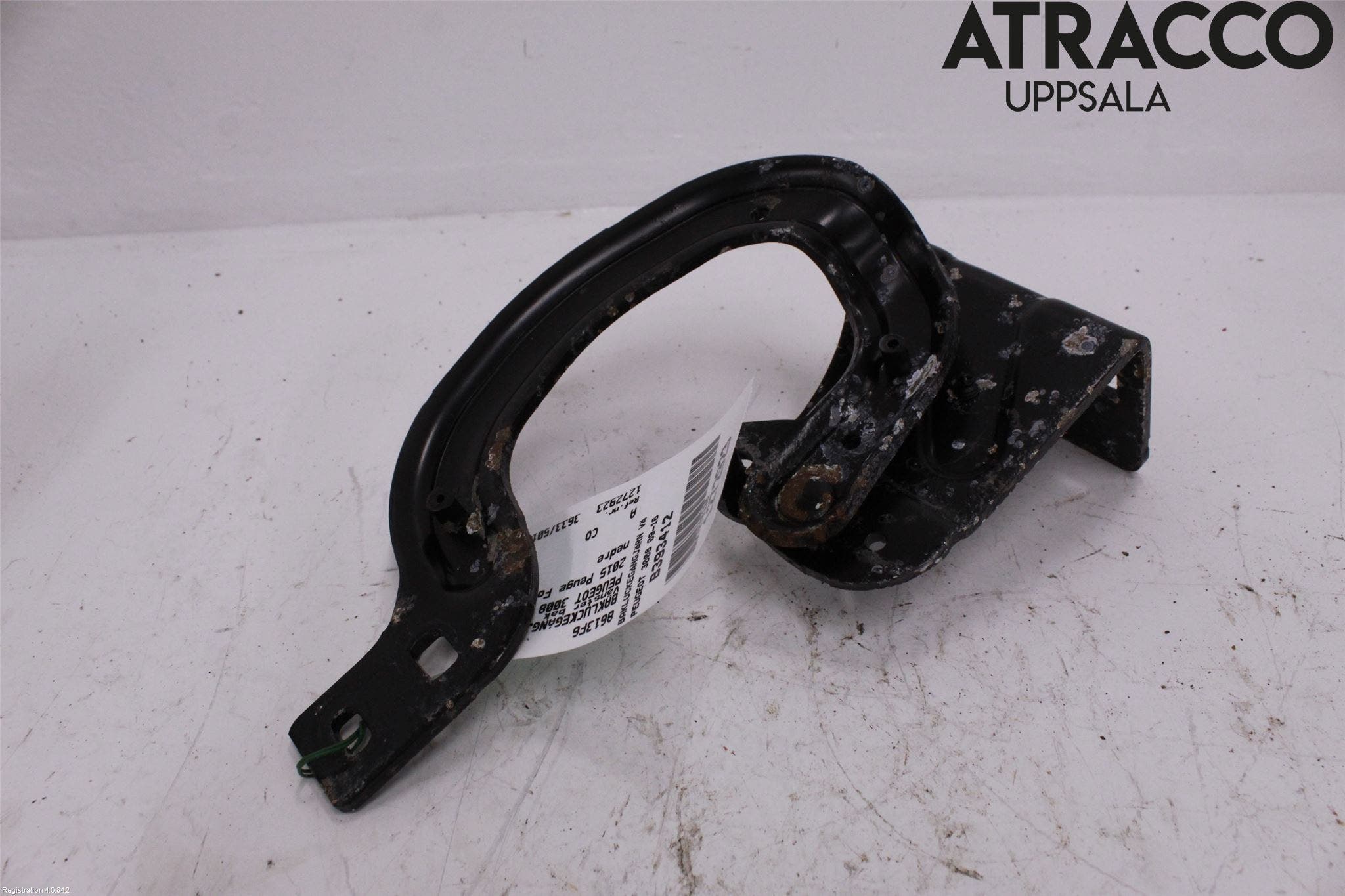 Peugeot 3008 09-16 Bakluckegångjärn Vä