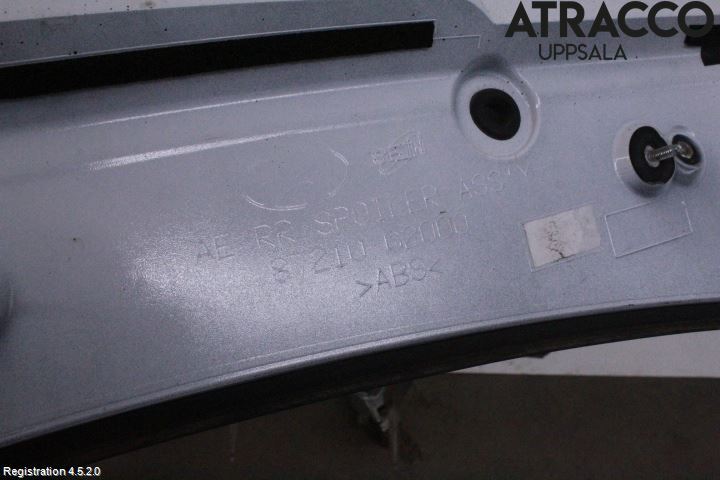 Hyundai IONIQ AE 17-22 Spoiler Baklucka