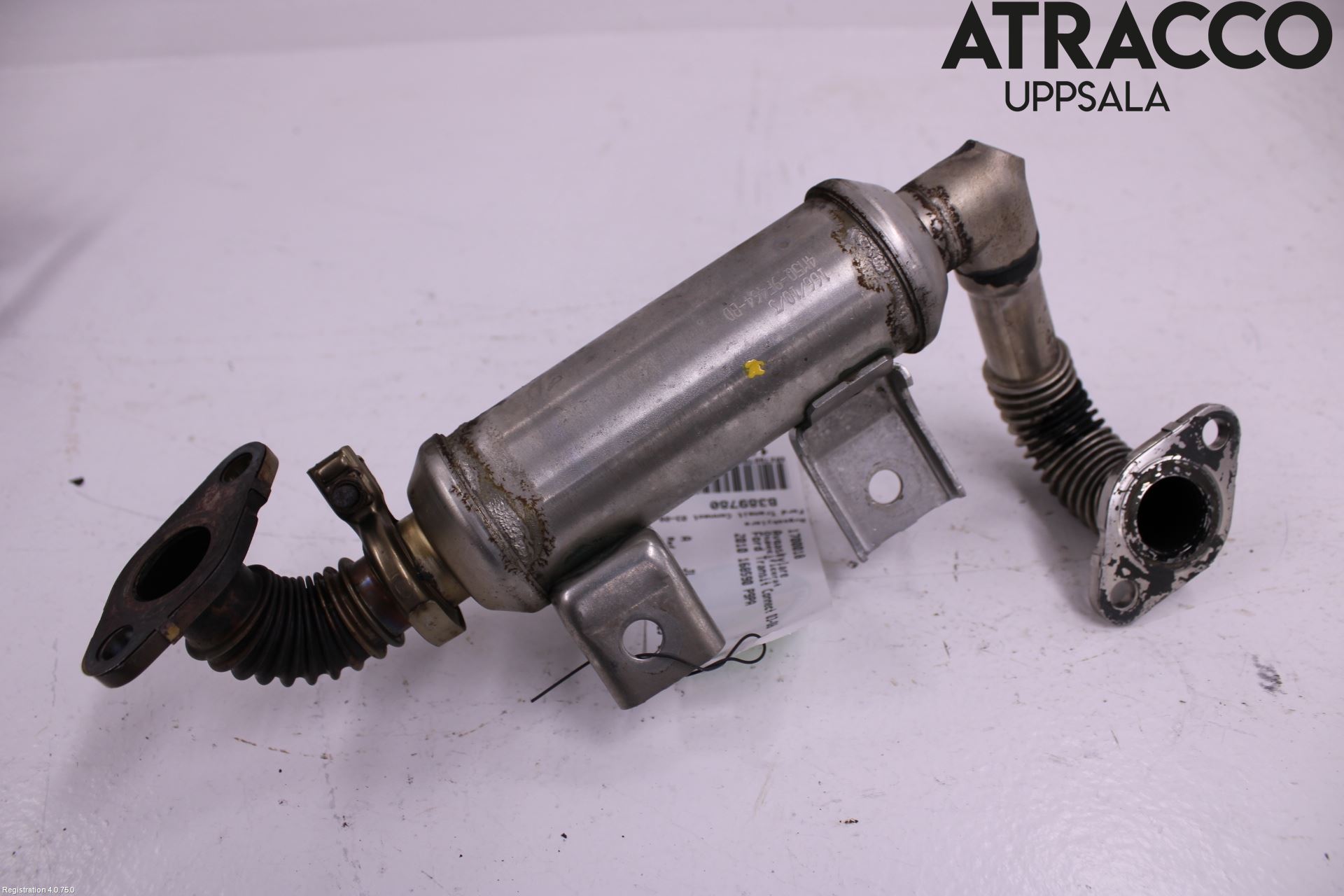 Ford TRANSIT CONNECT 09-13 Avgaskylare