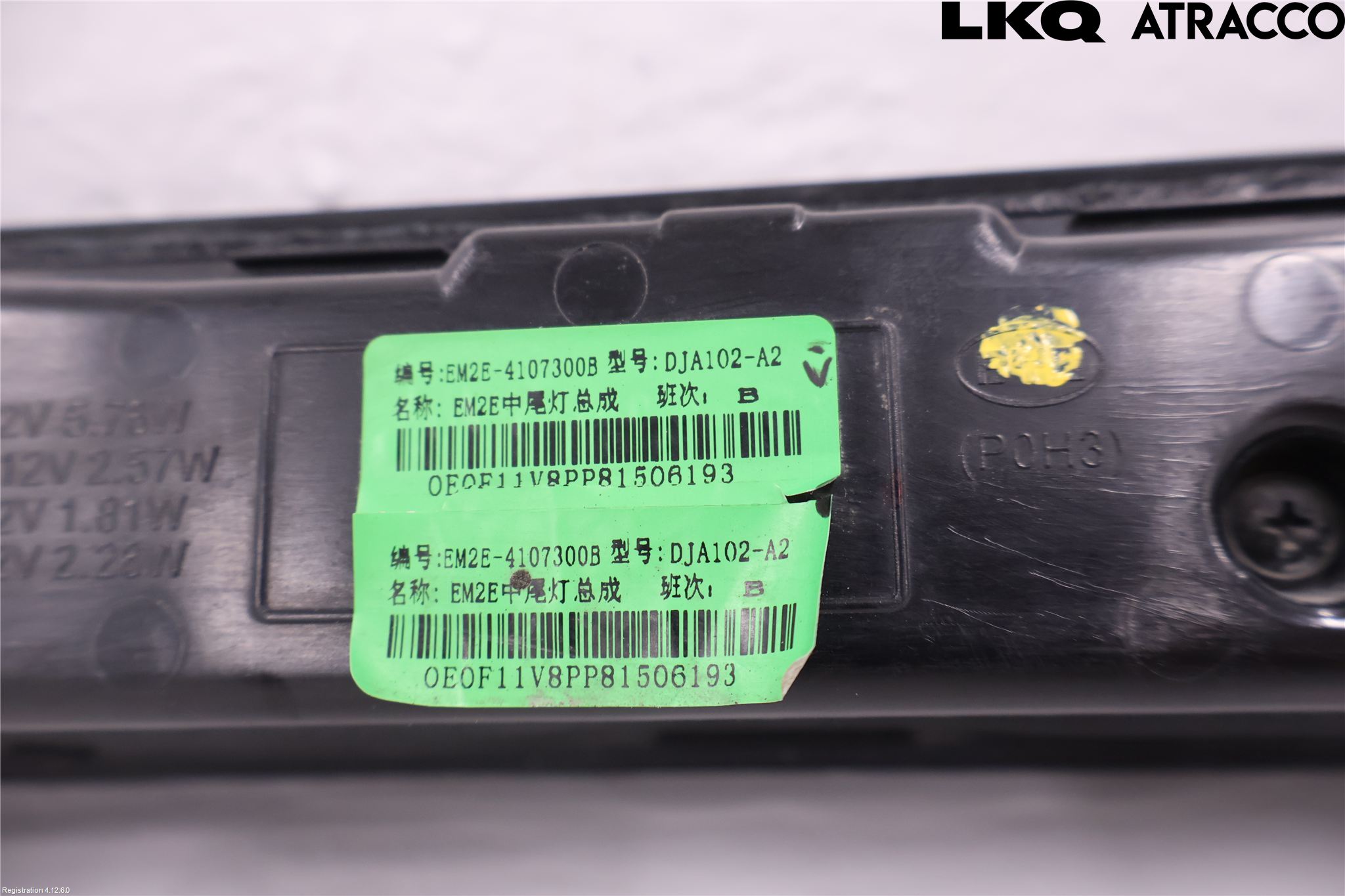BYD DOLPHIN 21- Reflexramp-Dekorramp