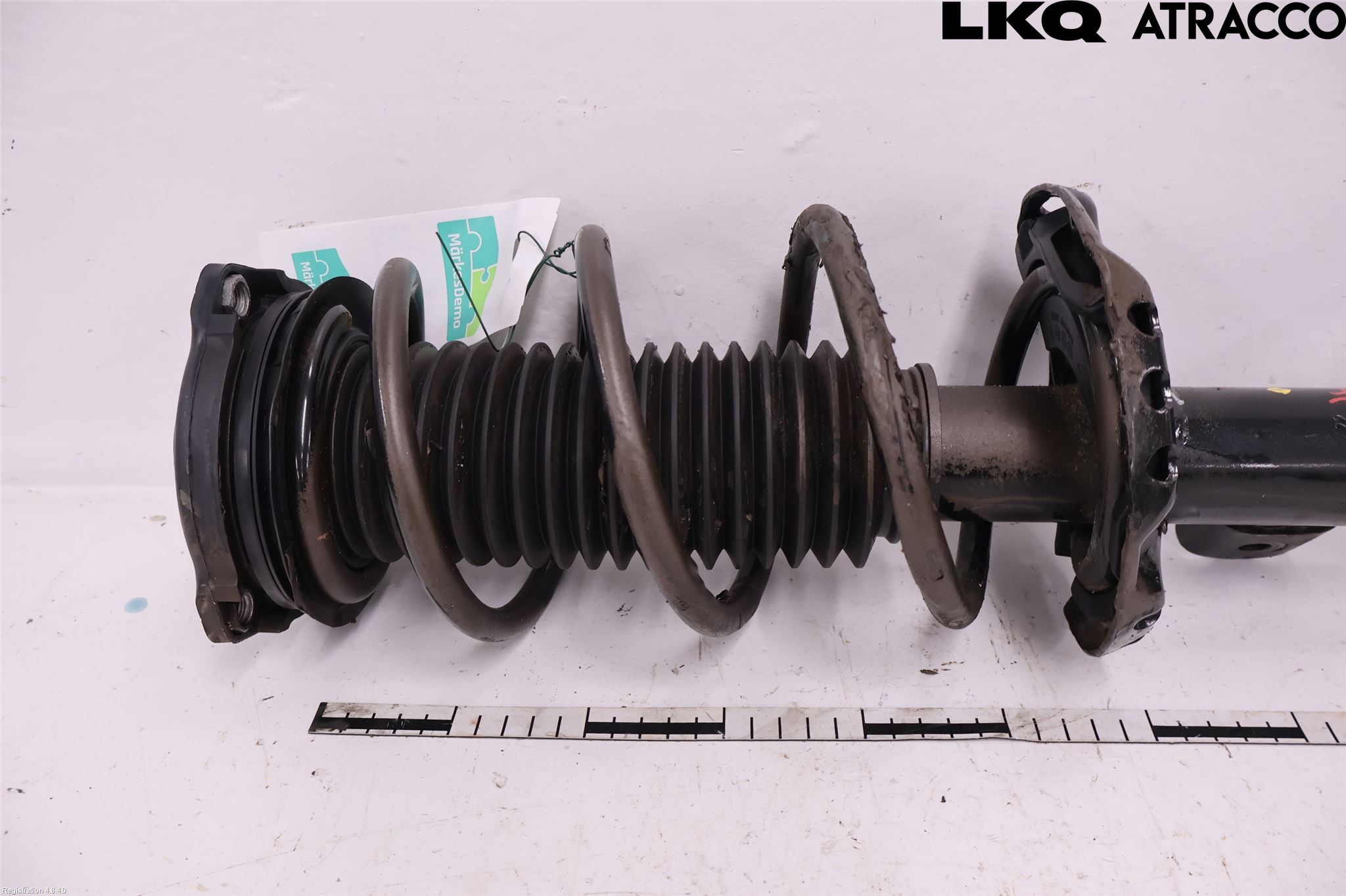 MG 4 23- Fjäderben Fram Vänster