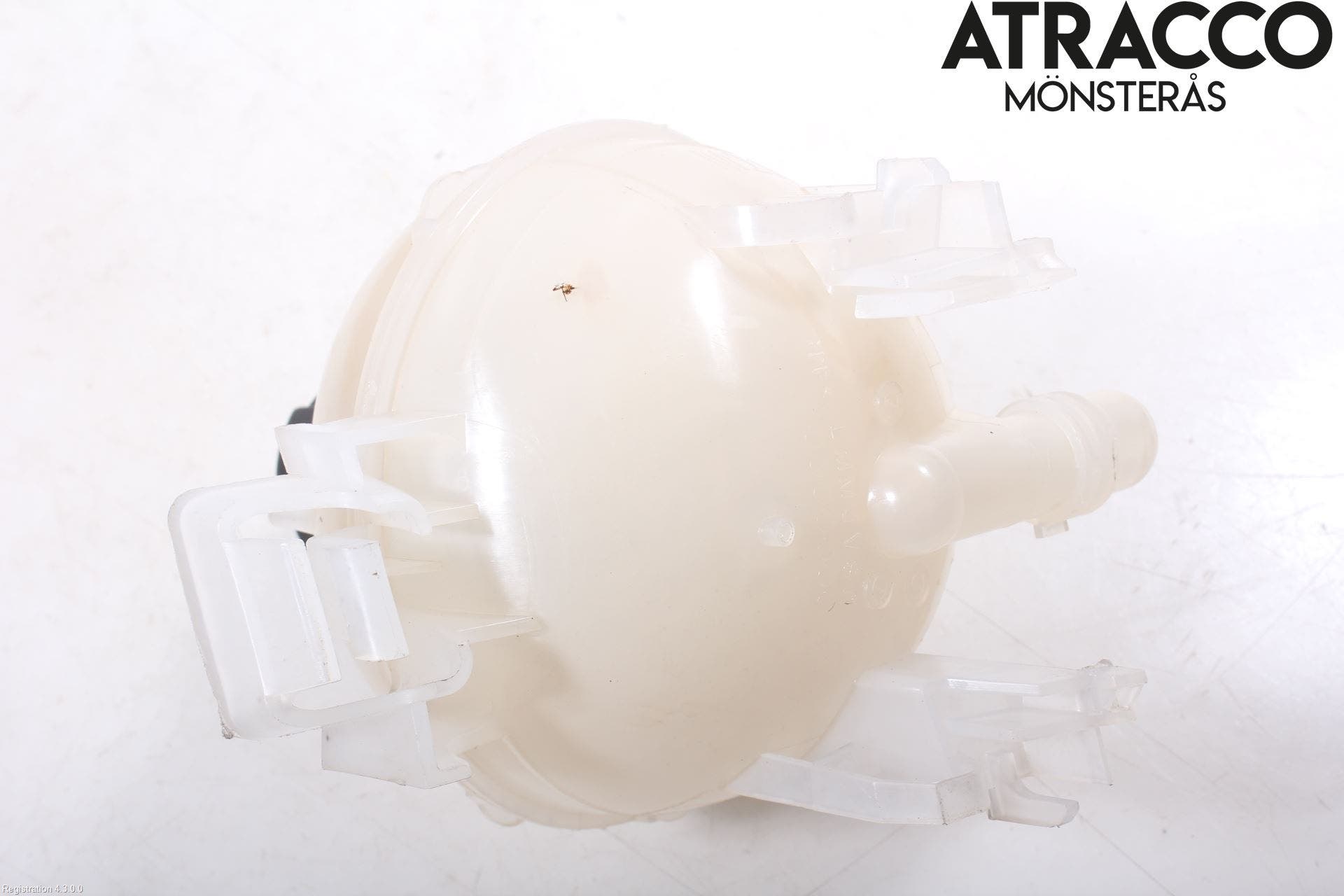 Peugeot 3008 17-24 Expansionstank