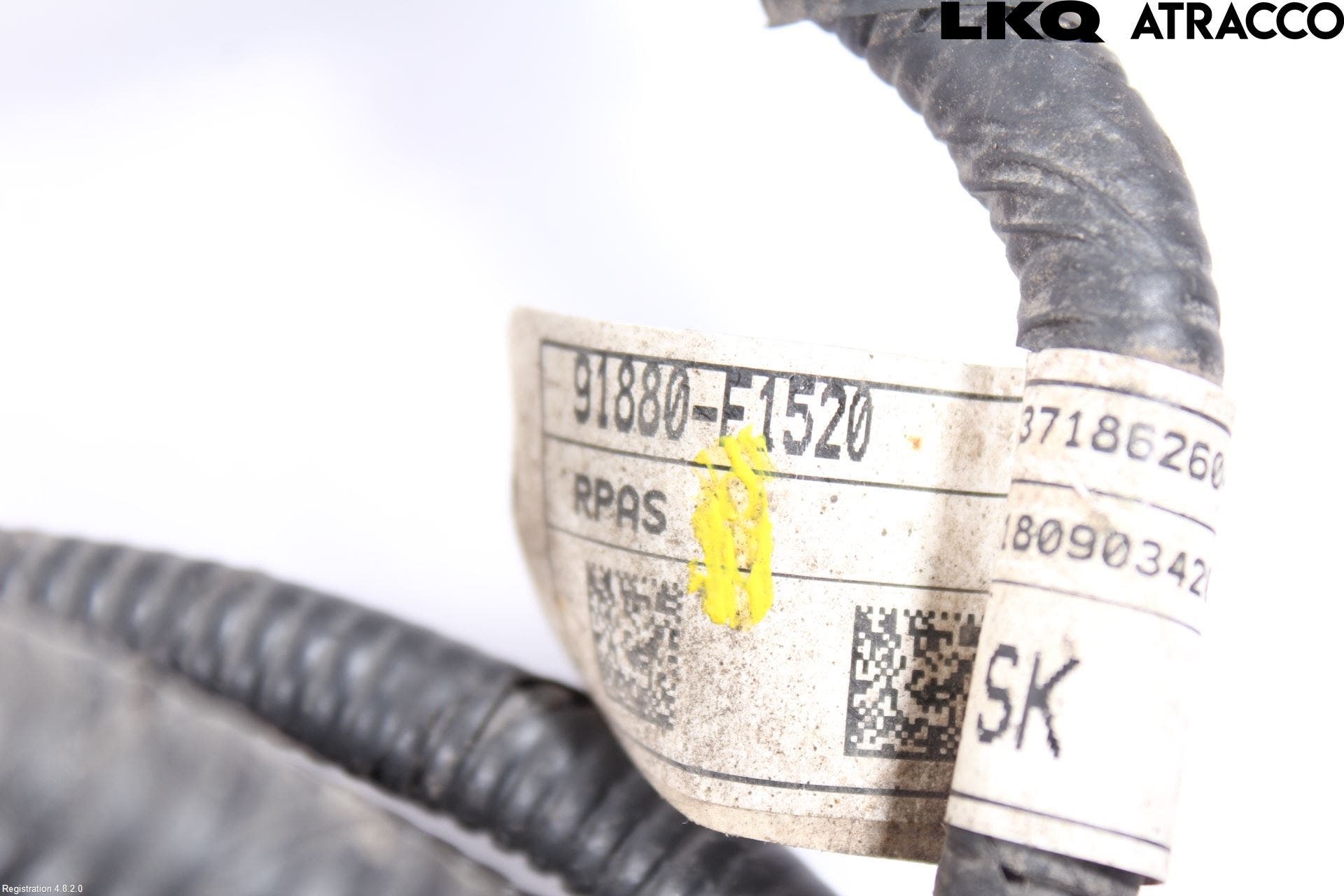 Kia SPORTAGE (QL) 16-21 Kabelhärva