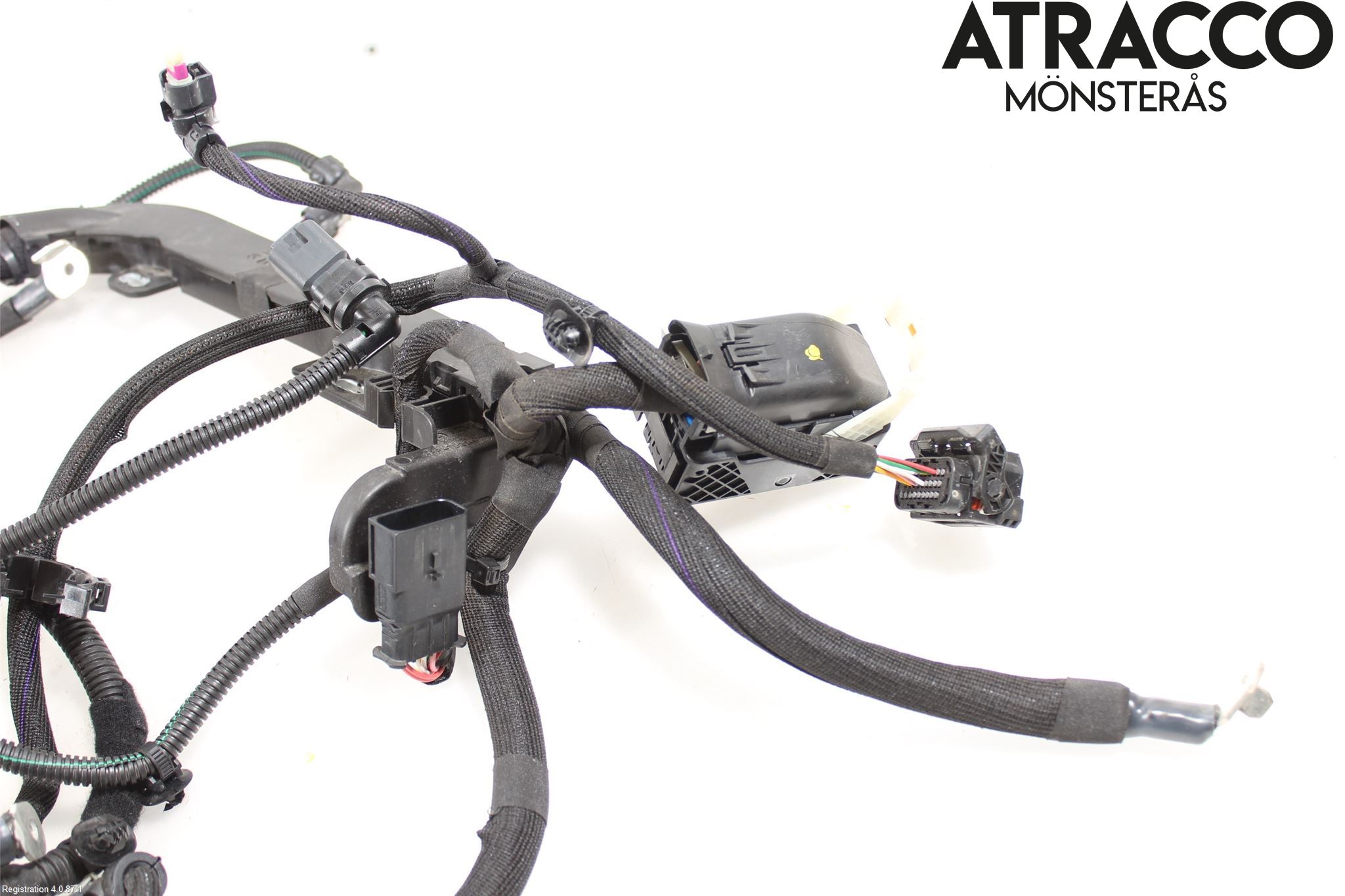 Citroen C4/E-C4 C4X/E-C4X III 21- Kabelhärva