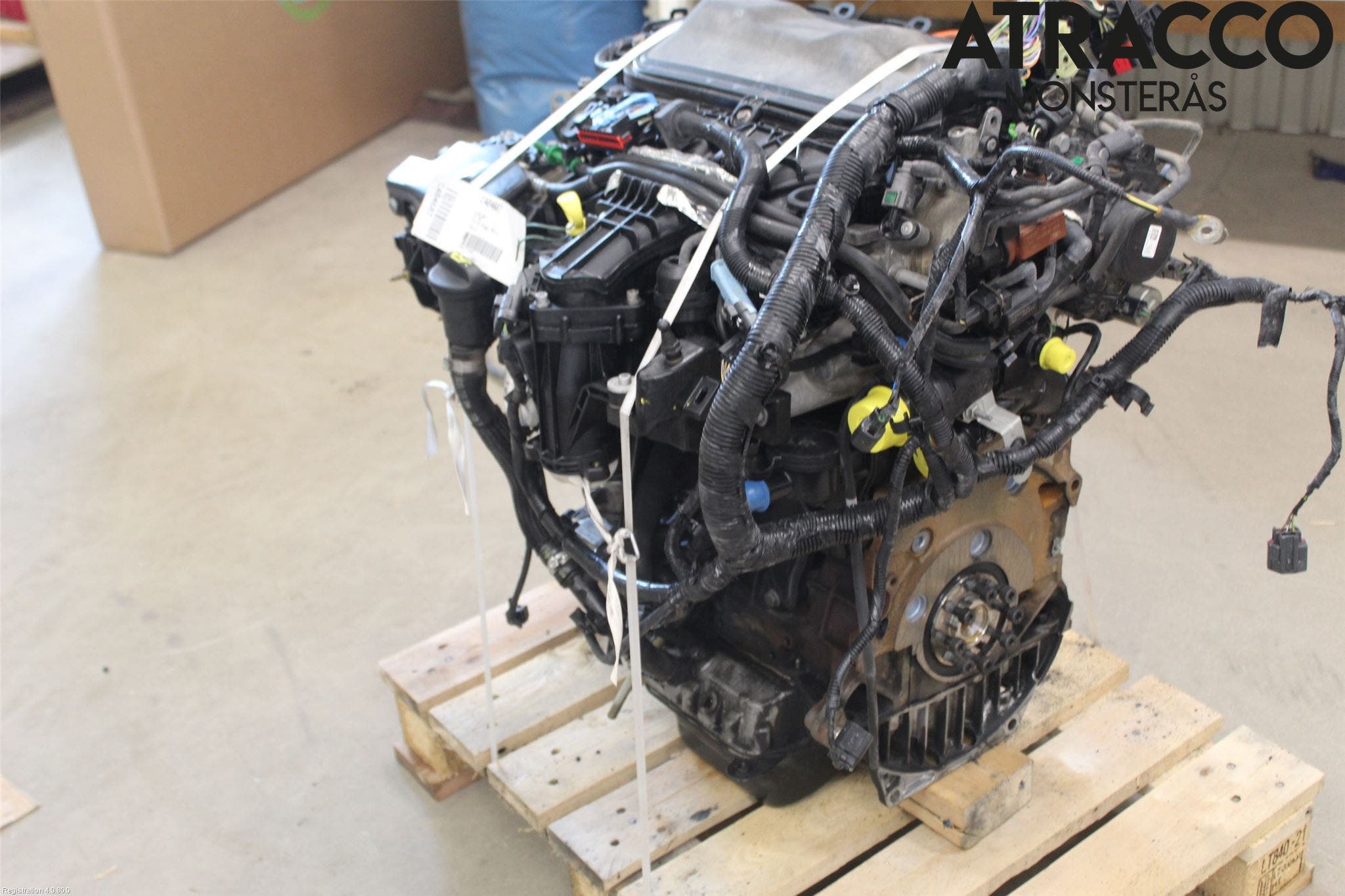 Ford KUGA 08-12 Motor Diesel