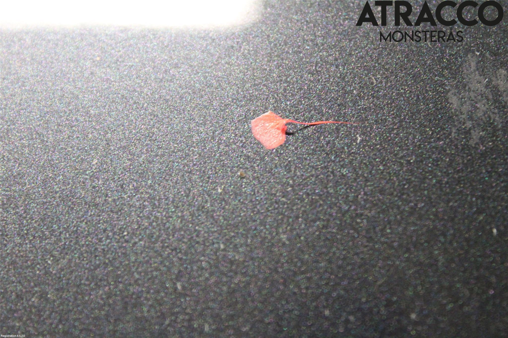 Toyota AYGO 06-14 Huv Fram