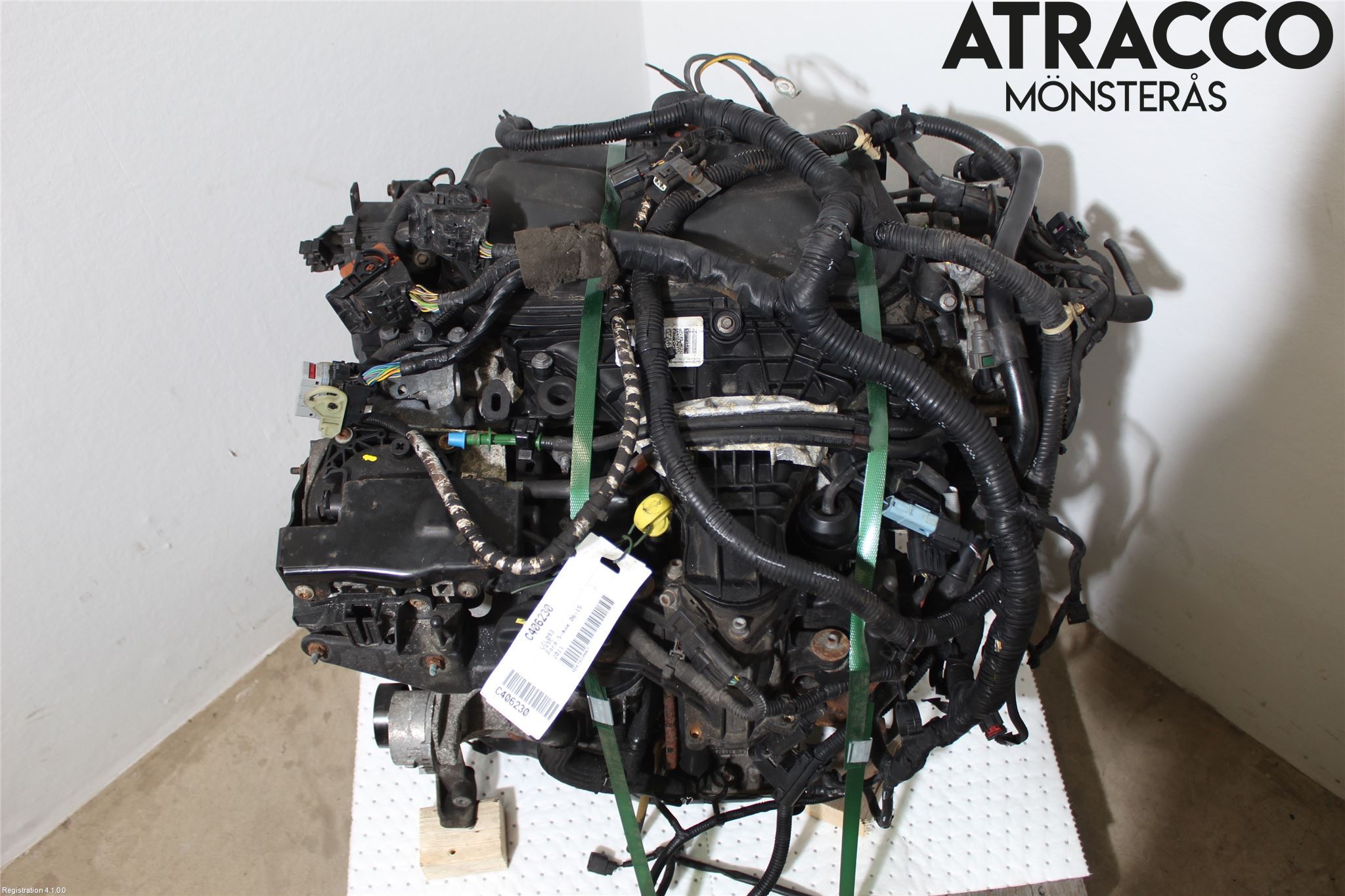 Ford S-MAX 06-15 Motor Diesel