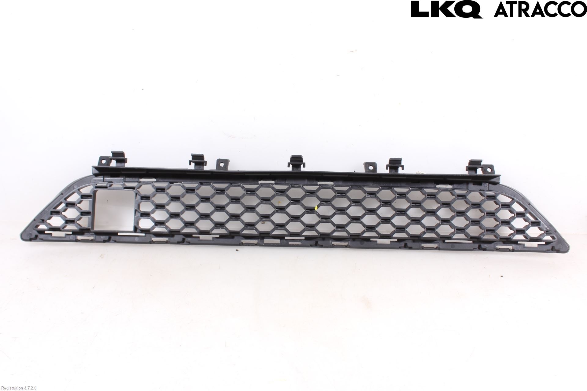 Jaguar F-PACE Grilldel Mitt