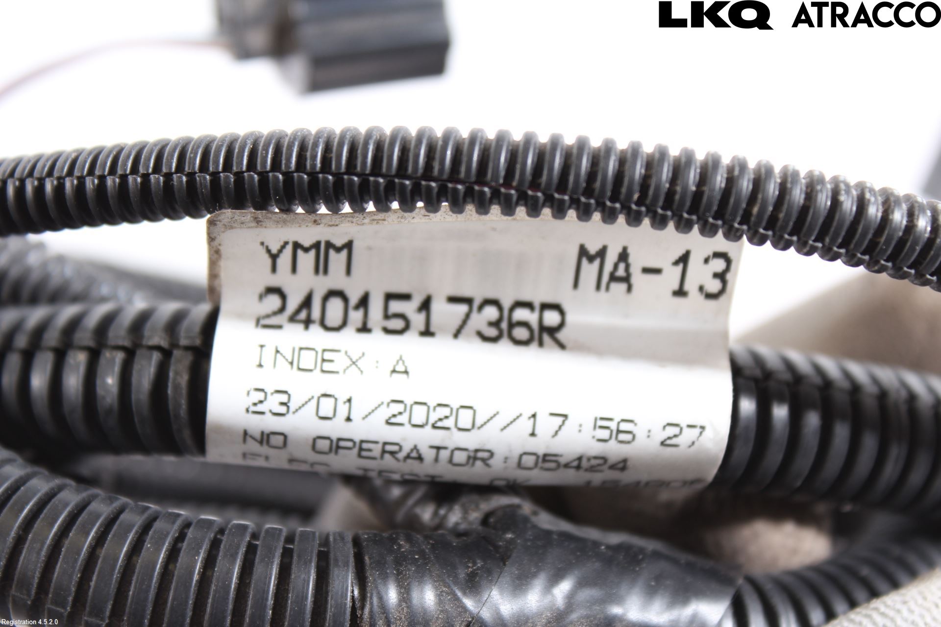 Renault ZOE/E-TECH 13- Kabelhärva