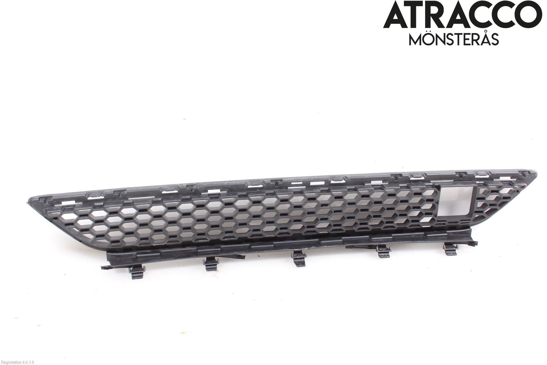 Jaguar F-PACE Grilldel Mitt