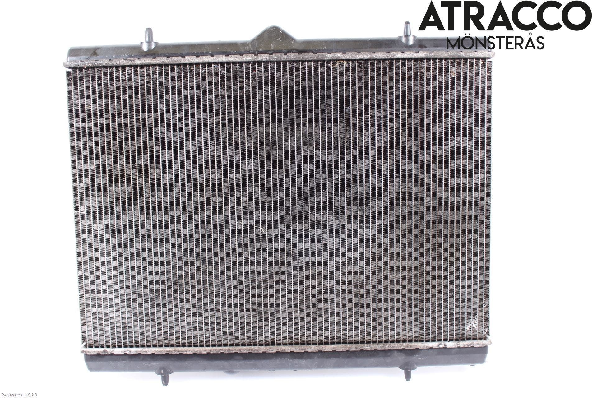 Peugeot 306 Kylare Man