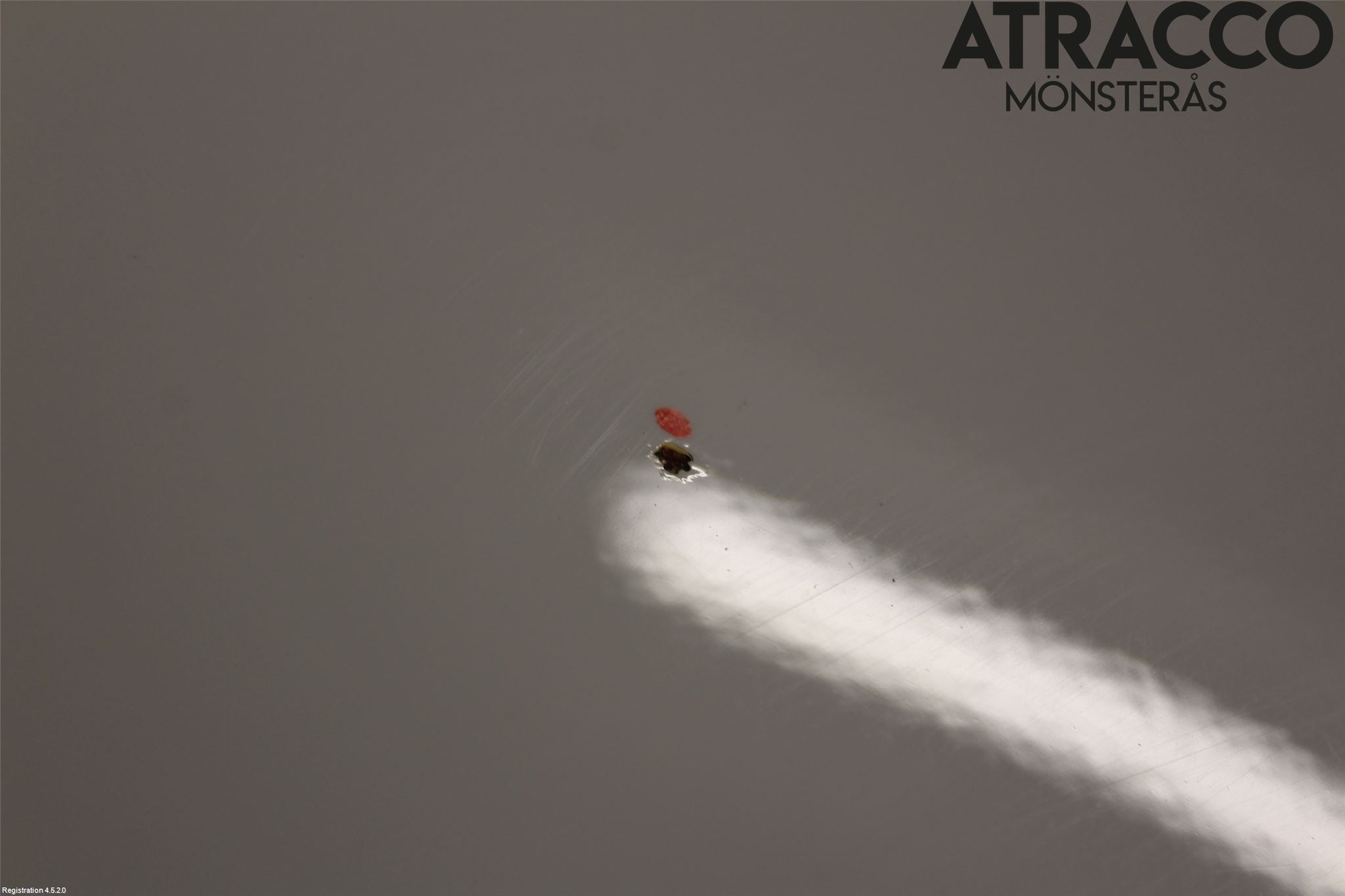 BMW 1 E87/81 5D/3D 03-11 Dörr Fram Vänster