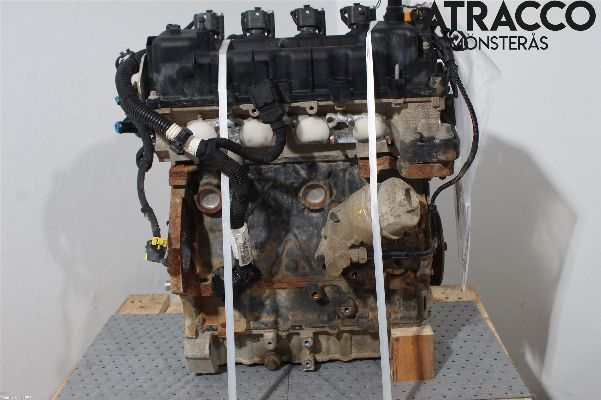 Fiat TIPO/CROSS 16- Motor Bensin